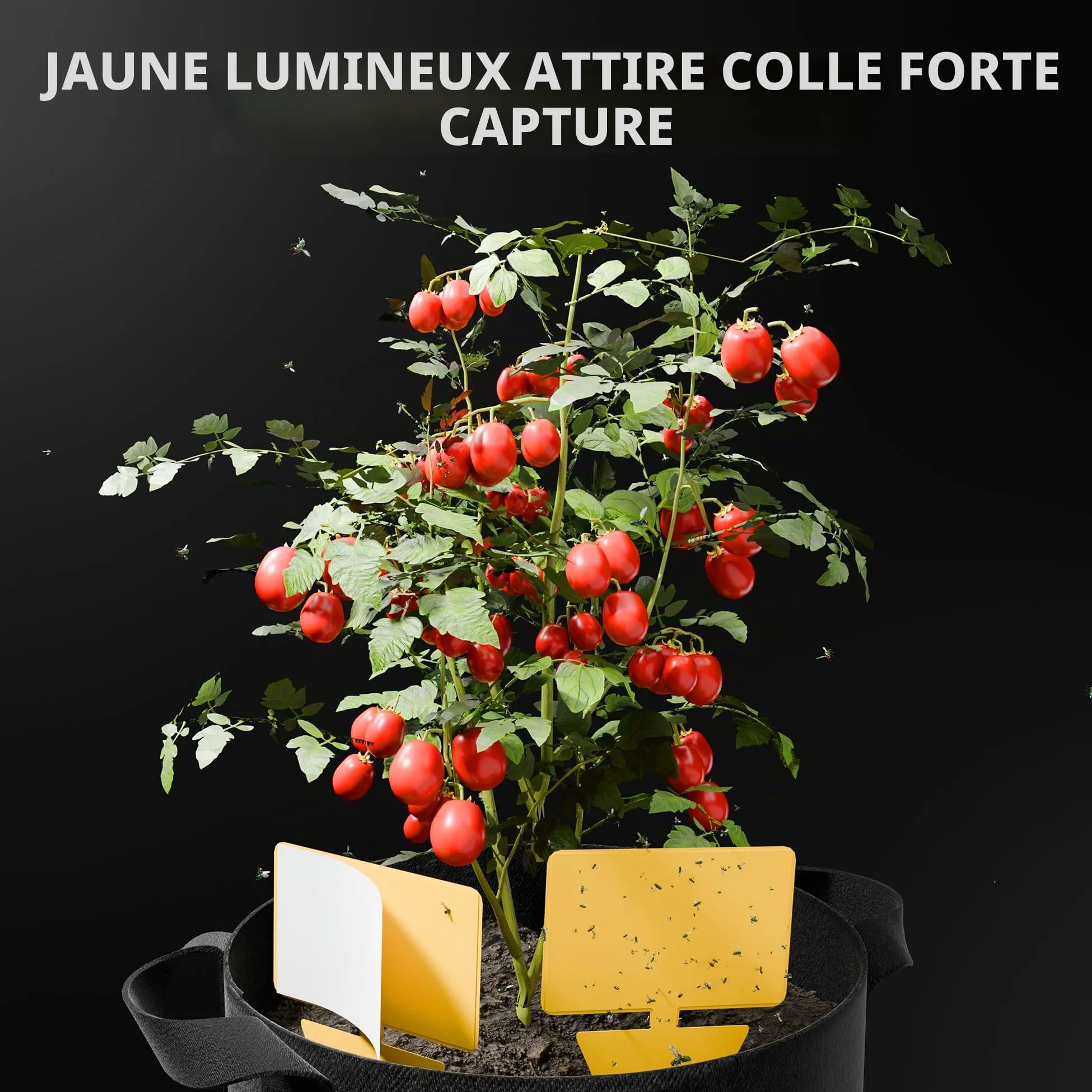 SF Spider Farmer Kit d'outils de Culture de Plantes 9 en 1 économique, spécialement conçu pour la Culture, la Taille, Le séchage et Le Stockage