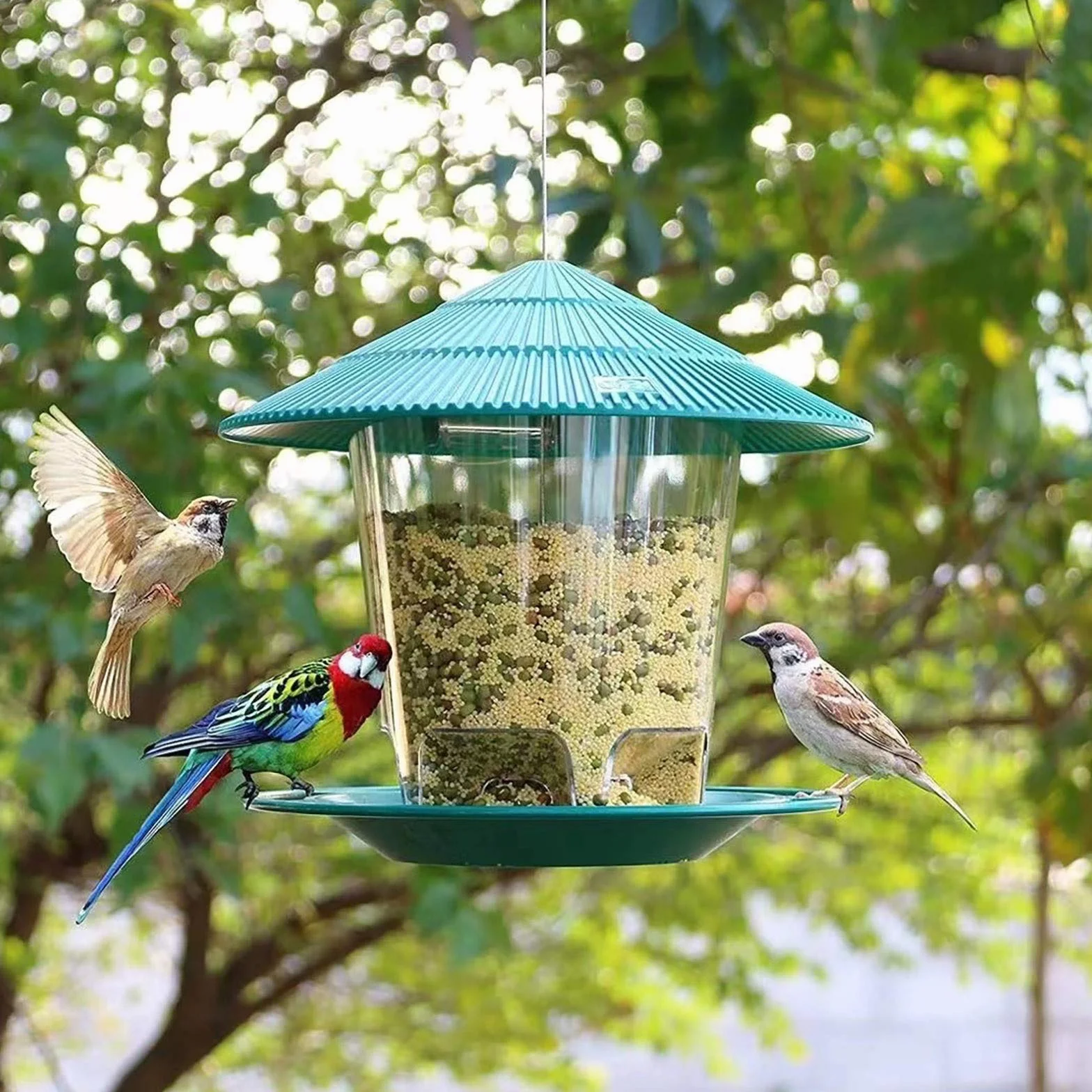 Mangeoire à Oiseaux Exterieur Suspendue Grande Capacité Vert