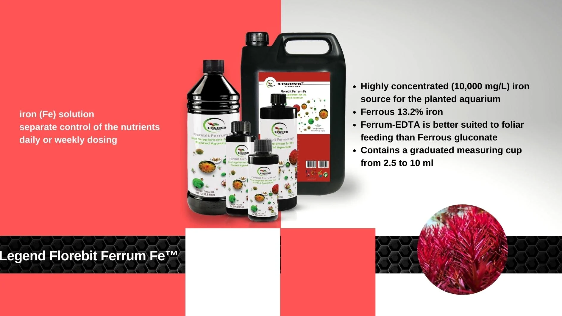 Legend Florebit Ferrum Fe™ Engrais pour plantes d'aquarium Rouge 100 ml 250 ml 500 ml 1000 ml