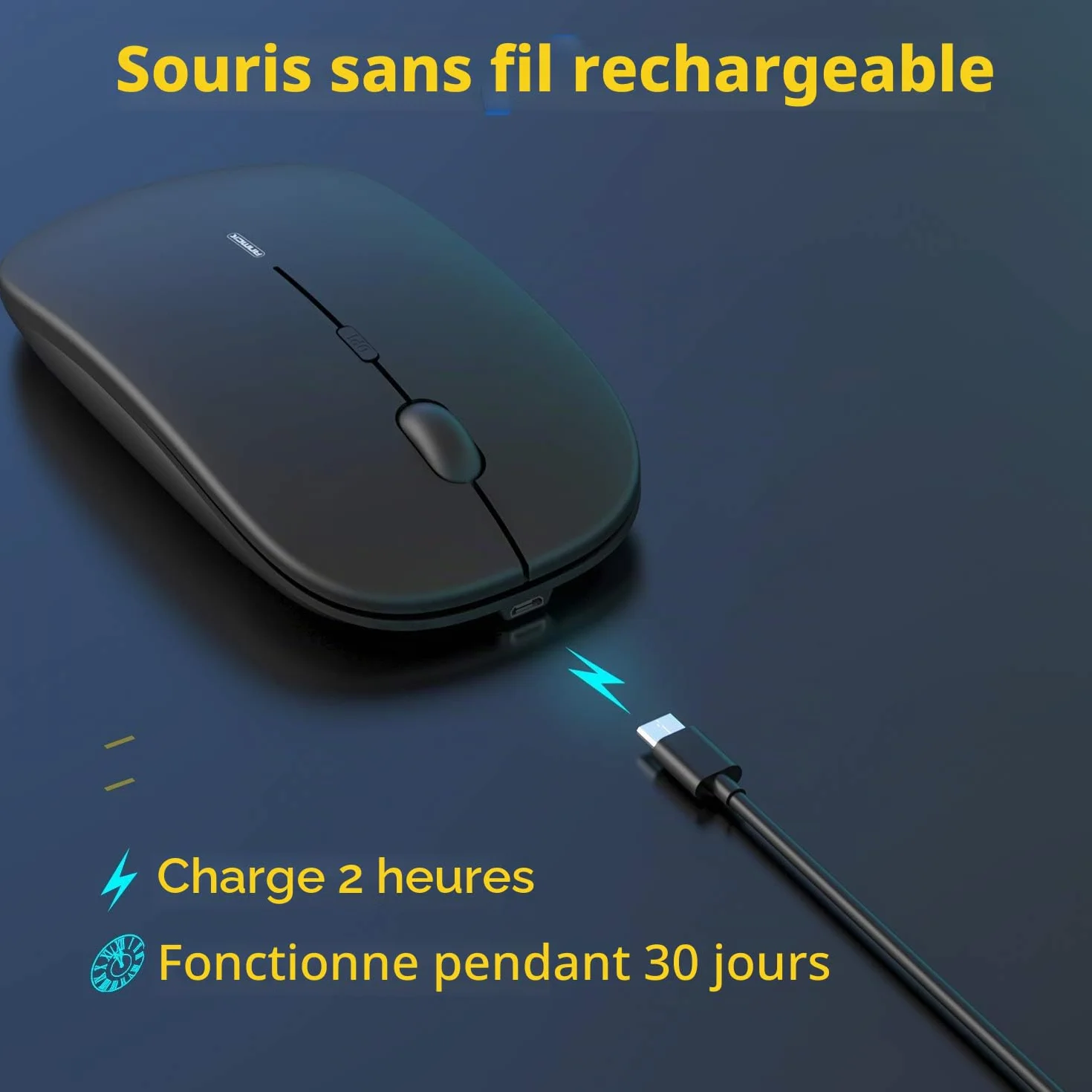 Souris sans Fil Silencieuse Rechargeable USB 1600 dpi 3 Niveaux de réglage 10 m Mini Ordinateur Portable PC