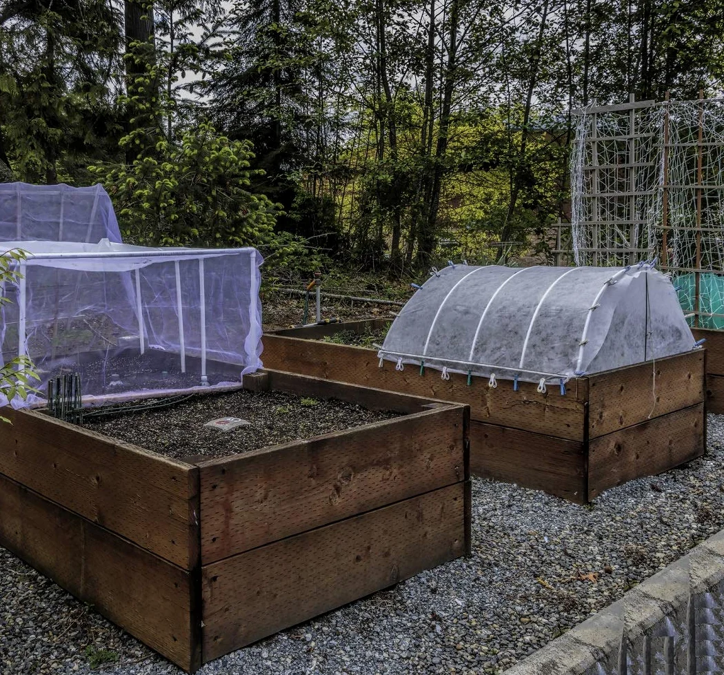 Filet anti-insectes de jardin en maille fine : 3 x 9,9 m, pour plantes, légumes, papillons, fleurs, fruits, argent