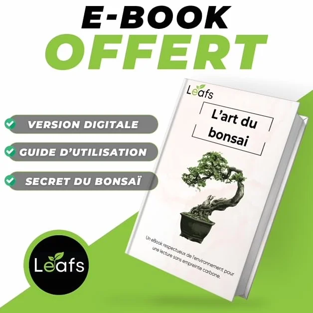 Kit Bonsai Plantation Coffret Cadeau Original Homme Femme Graines Glysines Pin Copalme Plantes Intérieur Extérieur