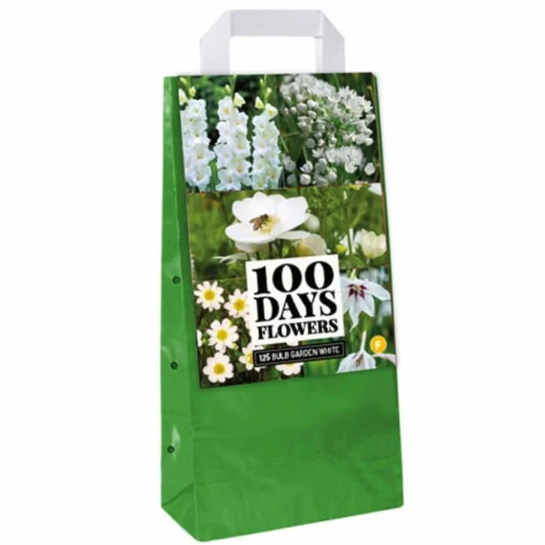 Jub 125 Bulbes à Planter Fleurs Blanches