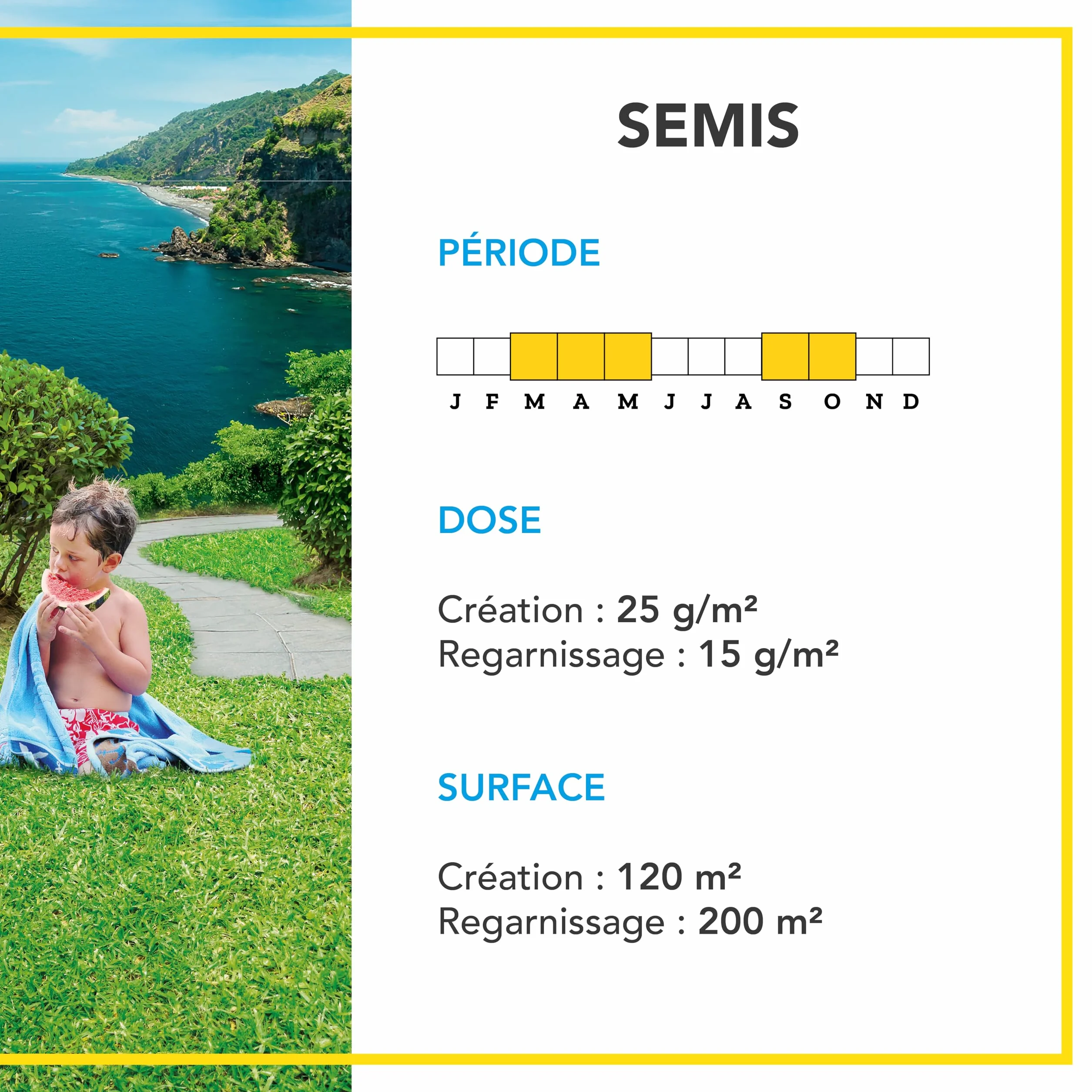 Barenbrug Gazon Littoral & Fortes Chaleurs 3kg Résistant Sécheresse Embruns