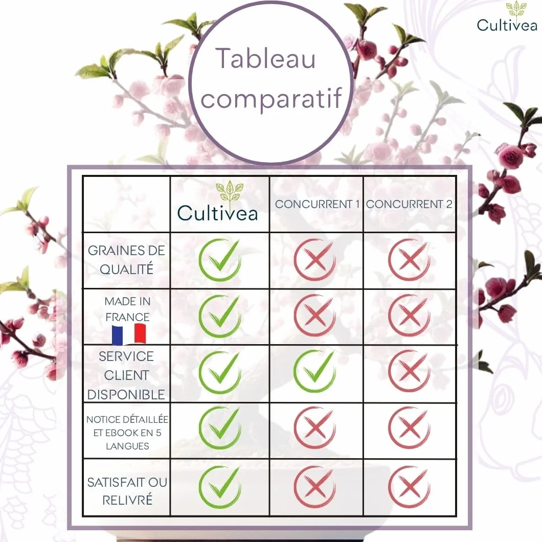 CULTIVEA® Kit First Bonsai – Kit de première culture de Bonsaï avec Graines & Accessoires, Made In France