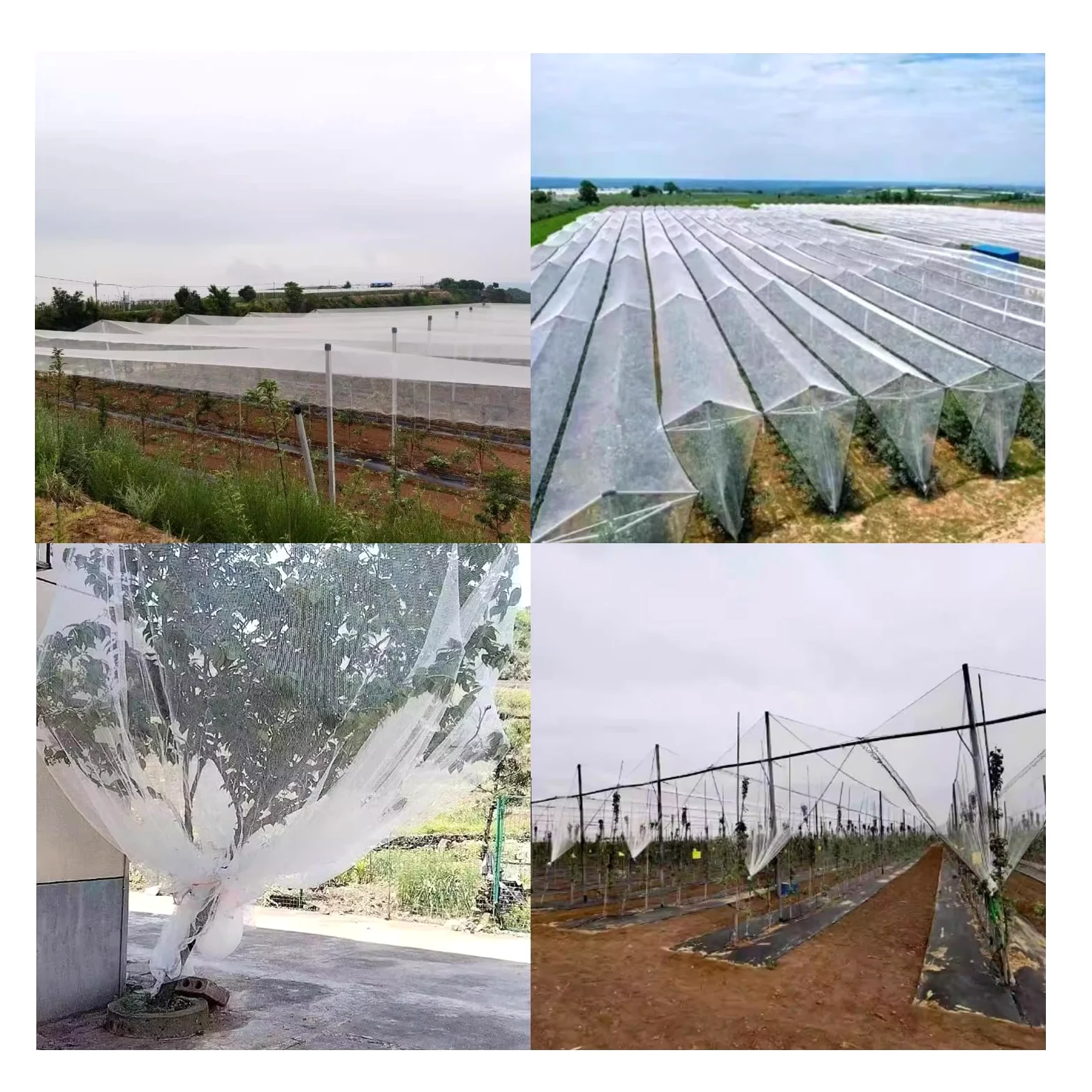 Filets De Protection Jardin,Filets Anti-GrêLe pour Potager,LéGer mais Robuste,Forte RéSistance à La Traction,pour La Protection des LéGumes,des Fruits Et des Fleurs