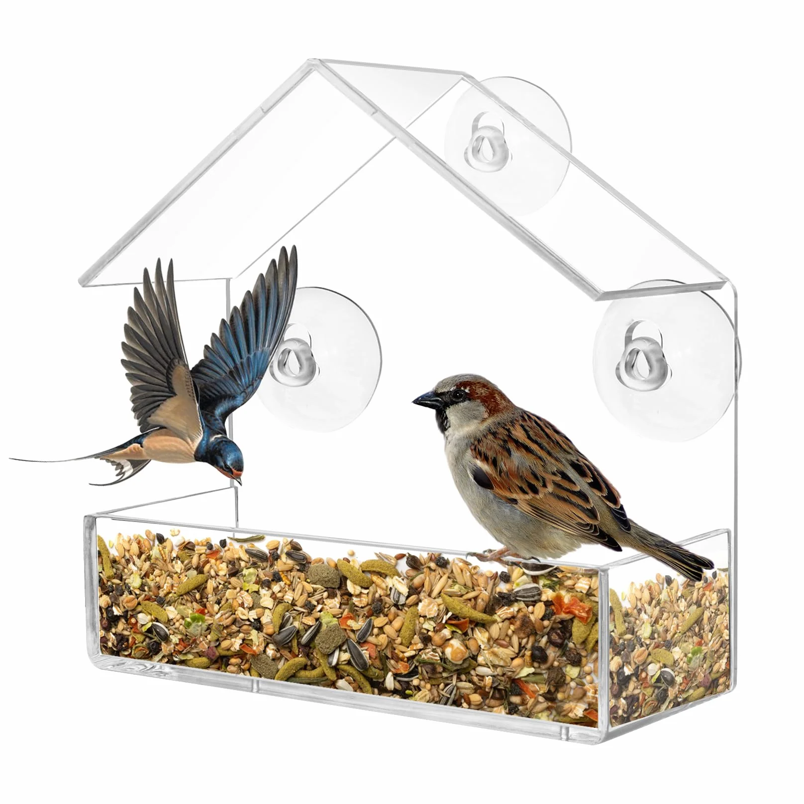 Mangeoire à Oiseaux pour extérieur, fenêtre avec ventouses puissantes, Transparent 15 x 15 x 6cm