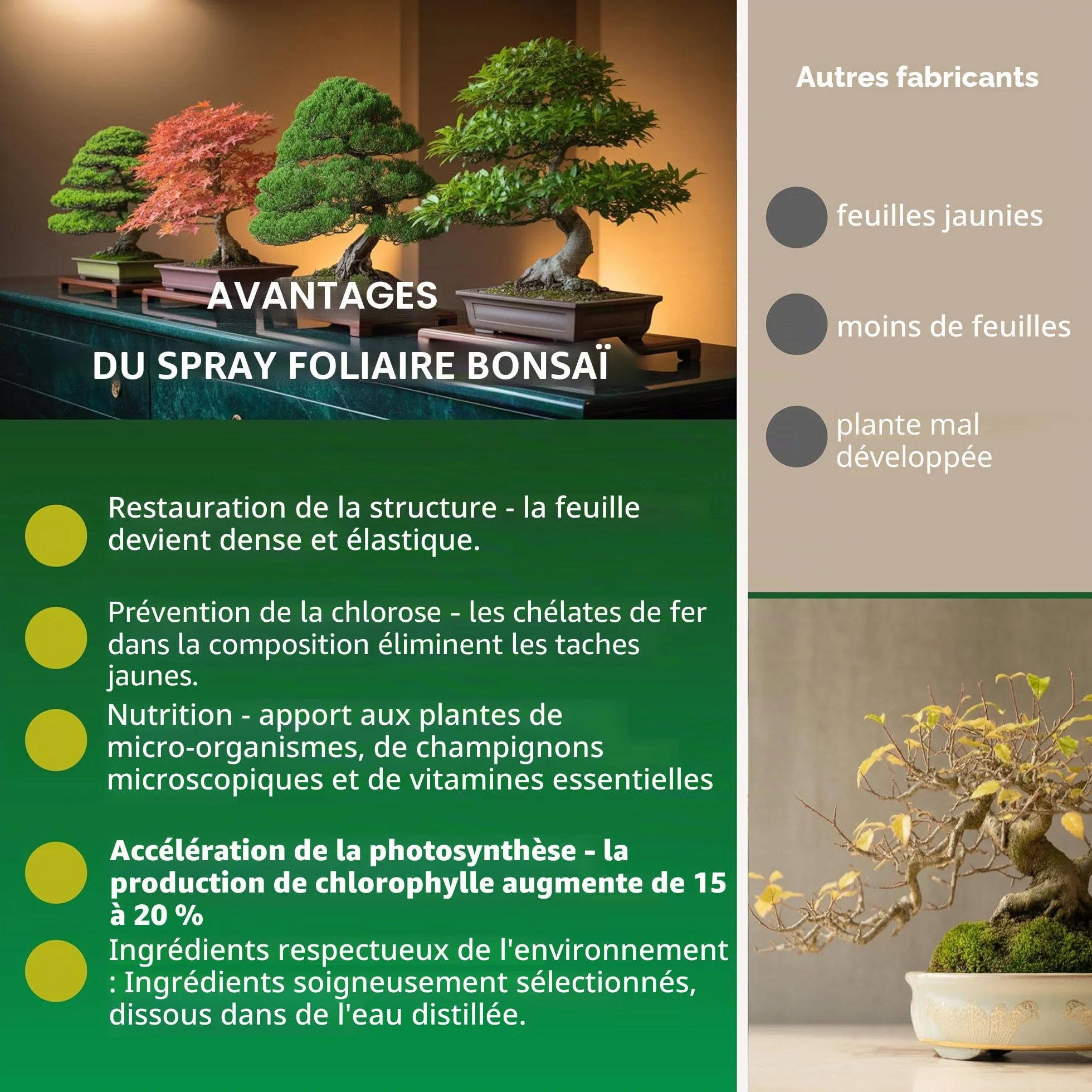 Garten Lux Spray bio Vital pour feuilles de bonsaï 300 ml 16 oligo-éléments