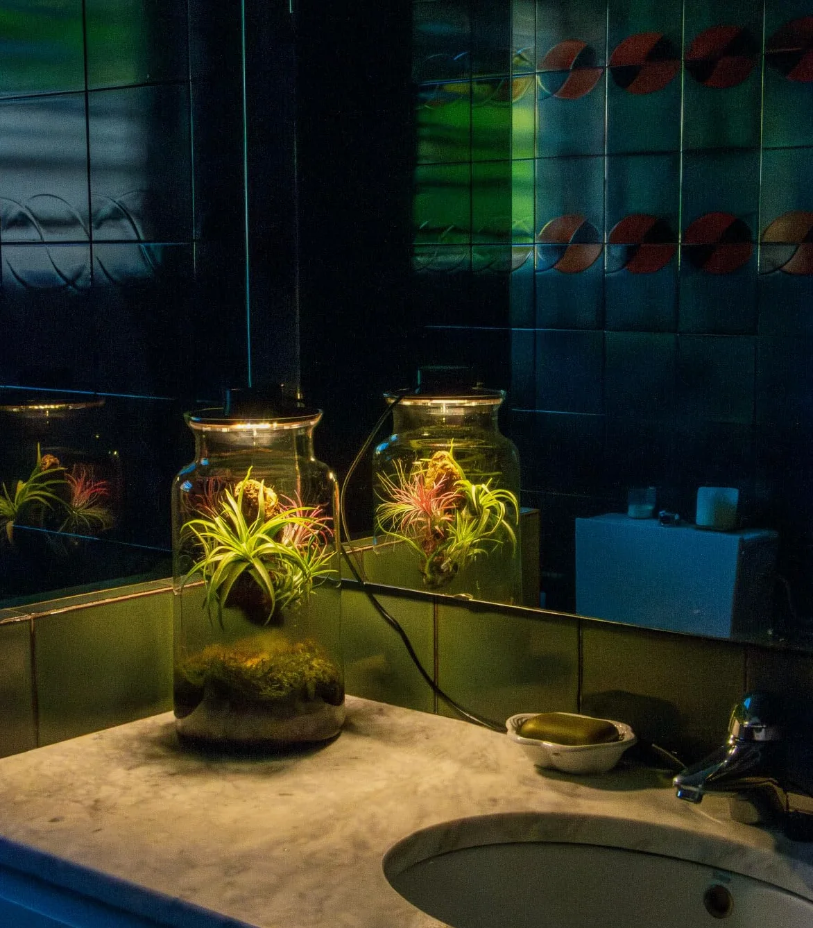 Jardin en Bouteille Eter - Terrarium Plantes en Verre Transparent Couvercle avec Spot LED | Kit Jardin en Bouteille All Inclusive Plantes D'air Naturelles à Rice d'Olivier