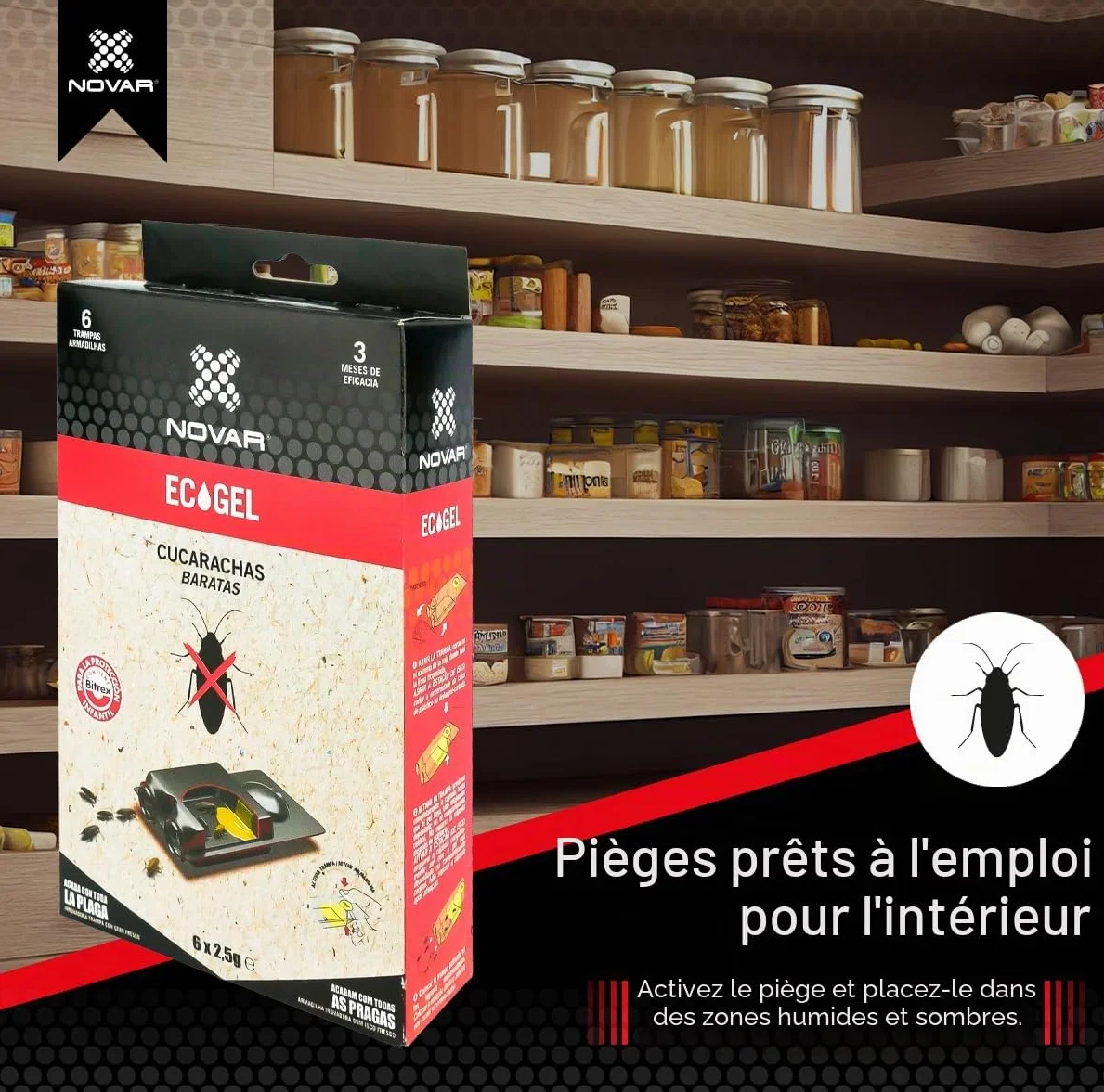 Piège Cafard Mortel avec Bitrex pour Tous Types de Cafards
