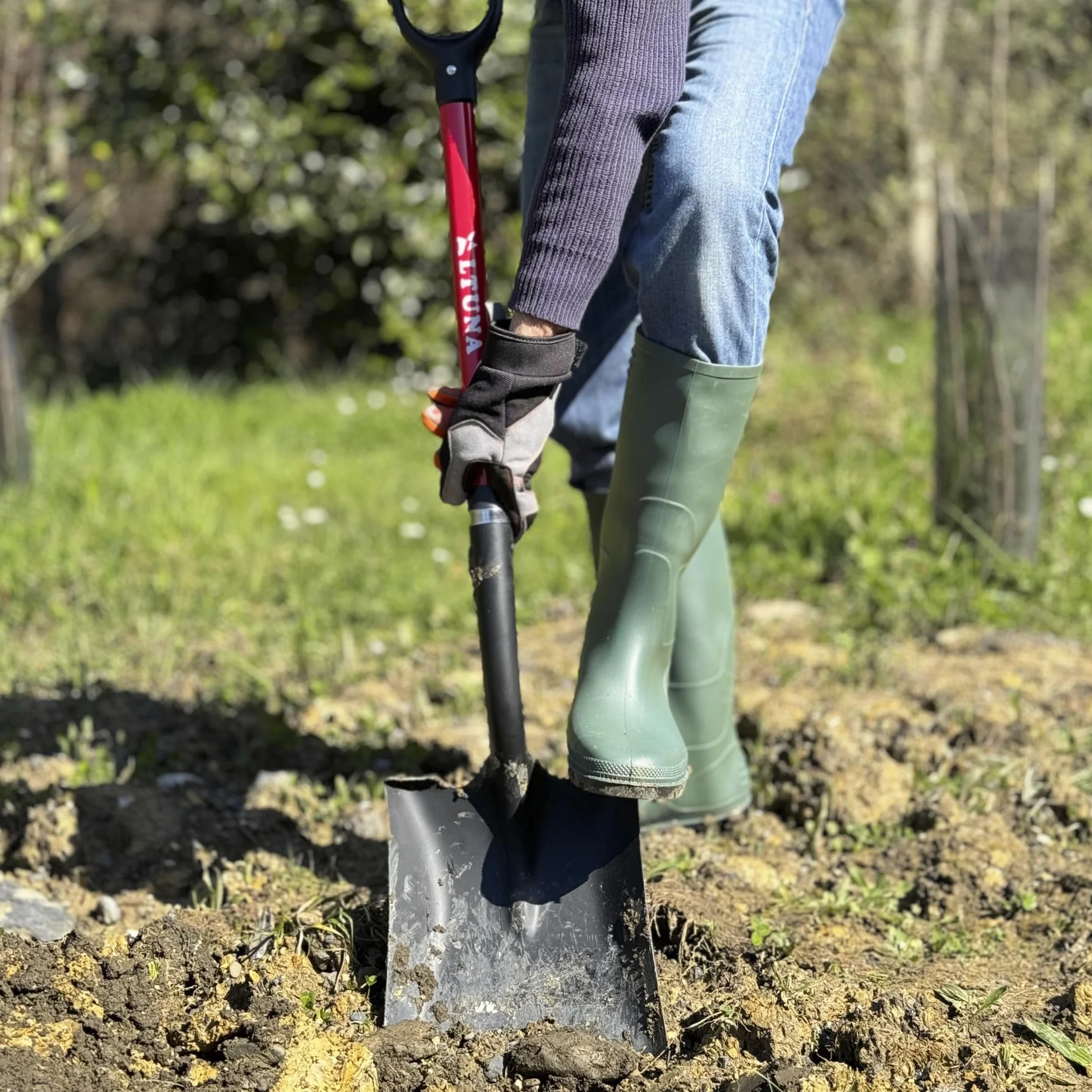 Altuna - Pelle de Jardin Robuste - 24 x 28 x 105 cm - Modèle 8541F - Capacité Extra Forte avec Manche en Fibre de Verre - Idéal pour la Construction et l'agriculture