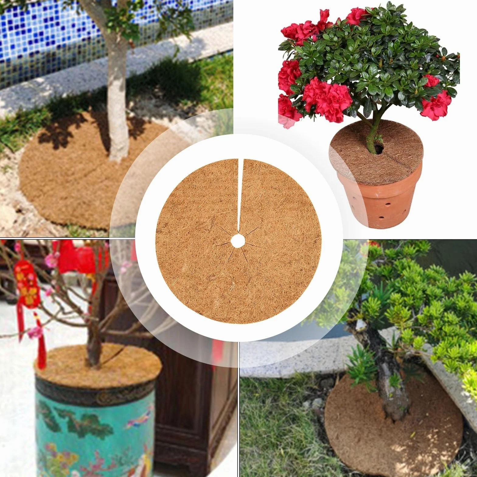 Lot de 4 plateaux de paillis de noix de coco 35 cm fibre de coco protection plantes barrière arbres arbustes