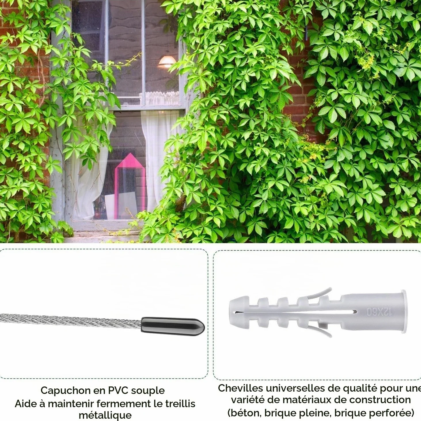 Support pour Plantes Grimpantes,Kit Palissage Plantes Grimpantes,12m,Système Professionnel Complet,Comprend Les Supports Muraux Et Le Câble en Acier De 3 mm (8 Supports,12 Mètres De Câble)
