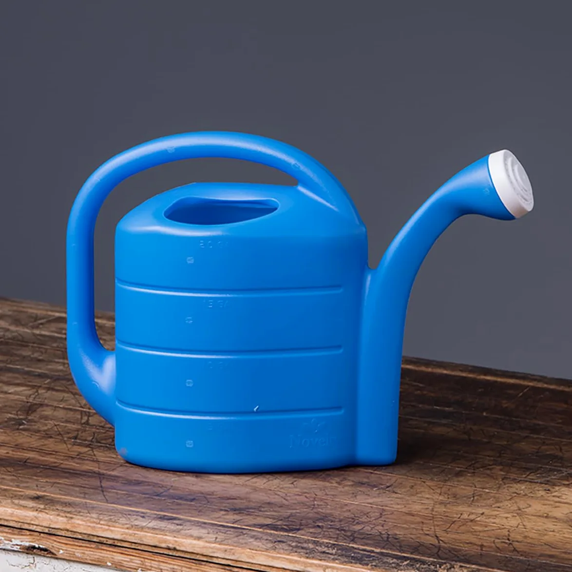 Novelty Fantaisie 30409 Arrosoir, Bleu Vif, 2 gallons