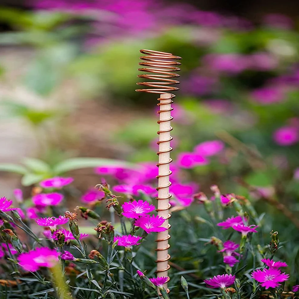 Lot de 24 piquets pour plantes d'électroculture, longueur 300 mm, longues tiges de jardin en cuivre, électroculture, jardinage, bobines de cuivre, outils de fil pour cultiver des plantes de jardin et