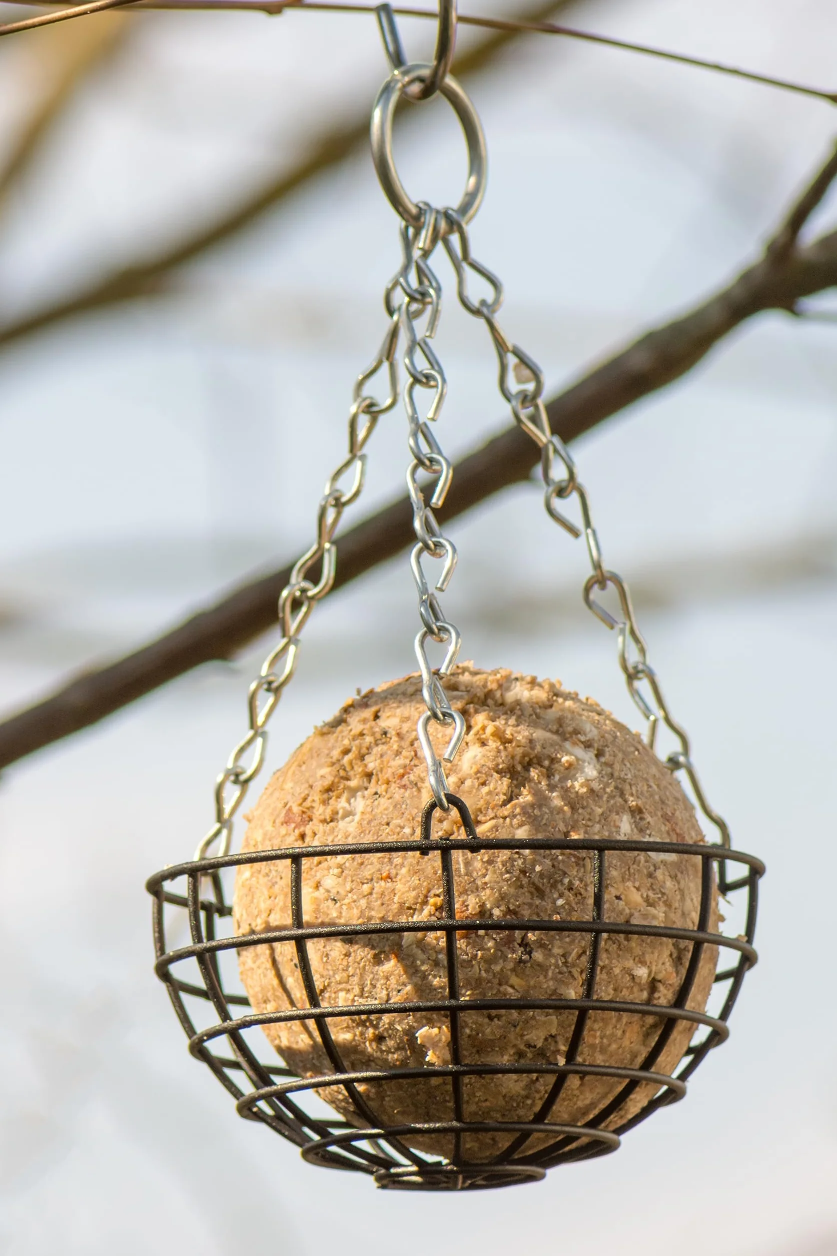Boulettes d'oiseaux sans filet 90 boules de graisse avec vers de farine 8,1 kg seau réutilisable nourriture haute énergie oiseaux sauvages