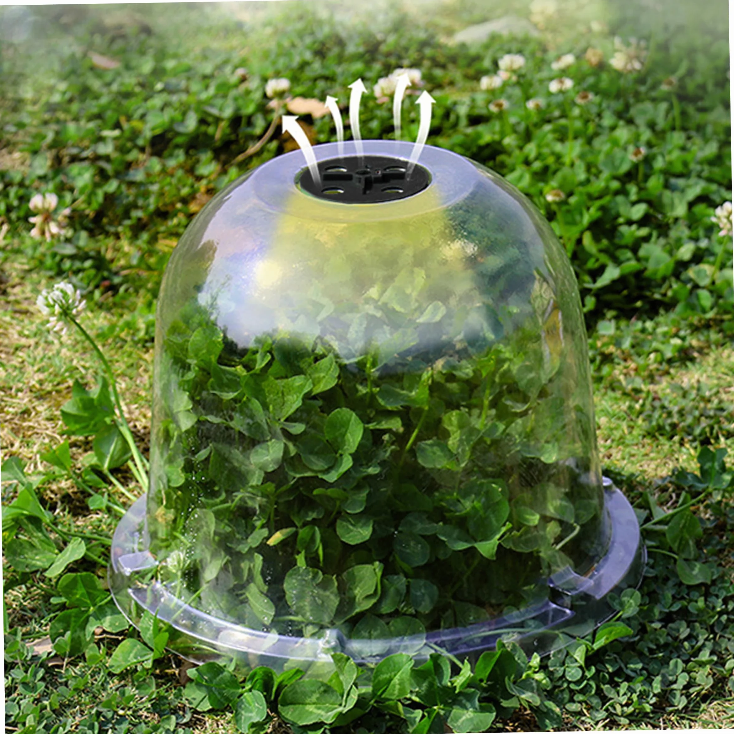 Cloche de Potager 12 pièces PVC réutilisable avec évent réglable Transparente