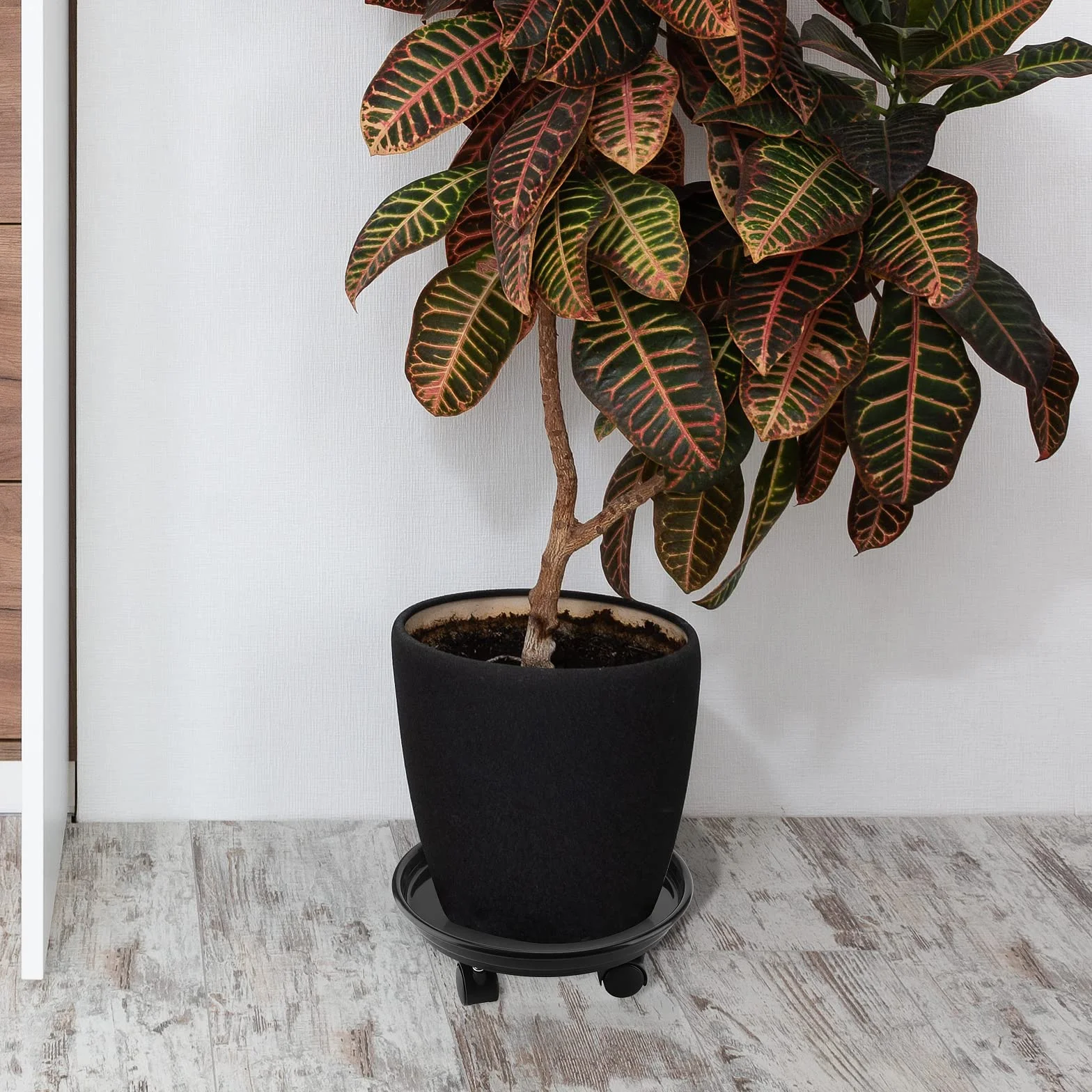 Lot de 3 Supports de Plantes à roulettes 30 cm - Chariot Mobile pour Plantes Intérieur Extérieur - Charge 50 kg - Noir