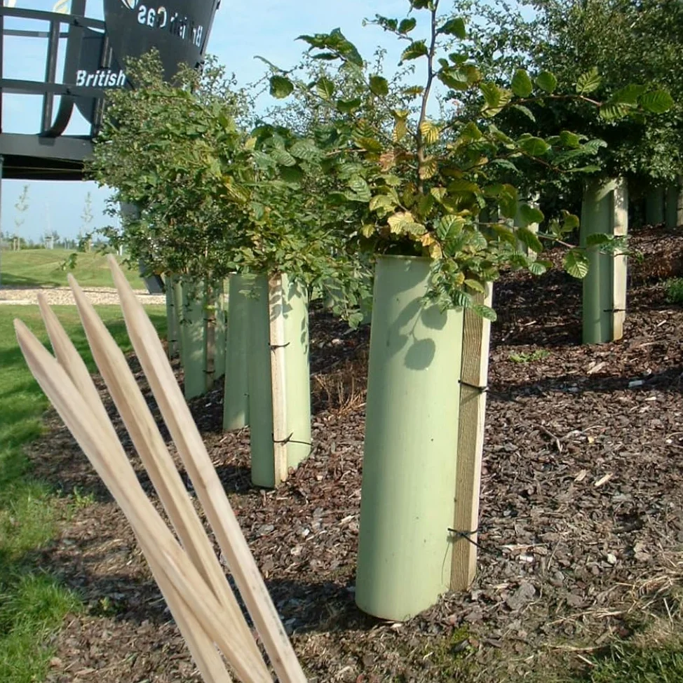 Lot de 10 piquets en bois dur en chêne taillés 1,5 m Ø 22 x 22 mm