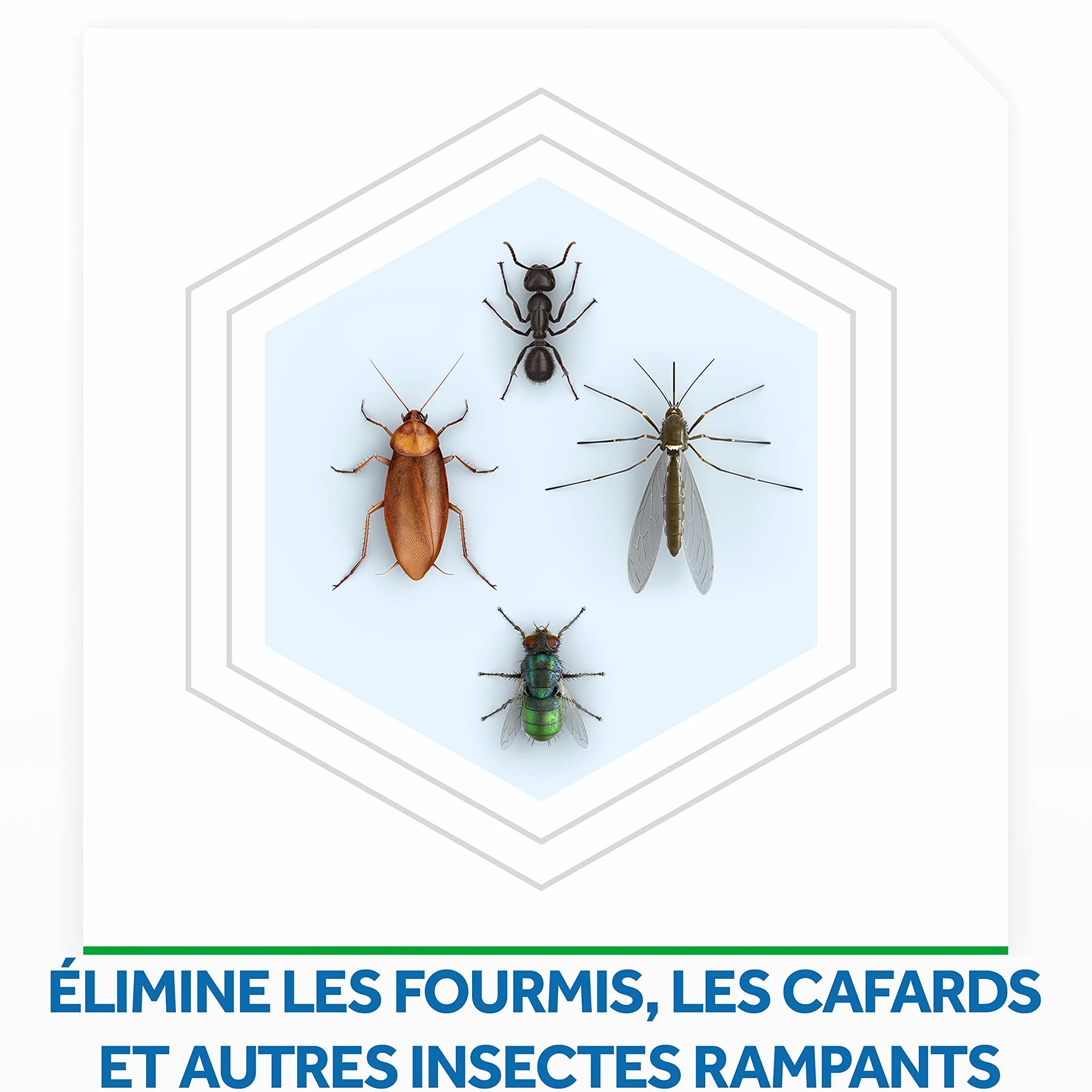 Raid Cafards et Fourmis 250g