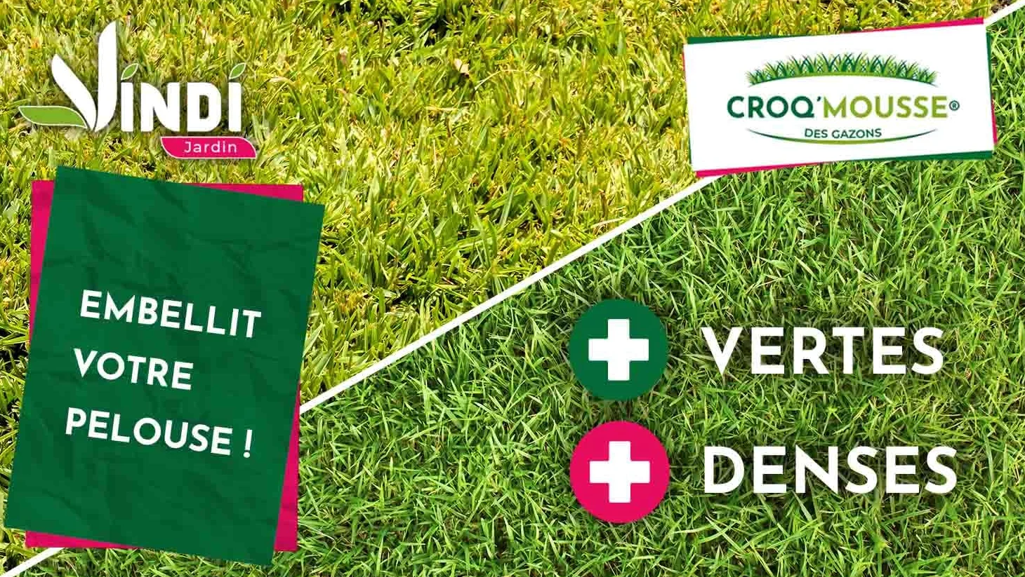 VINDI JARDIN - CROQ'MOUSSE des gazons – Engrais liquide organo-minéral 3 en 1 – Pelouse « sans mousse/+verte/+dense » - bidon 5L – Traitement pour 500m2 – Fabrication Française.