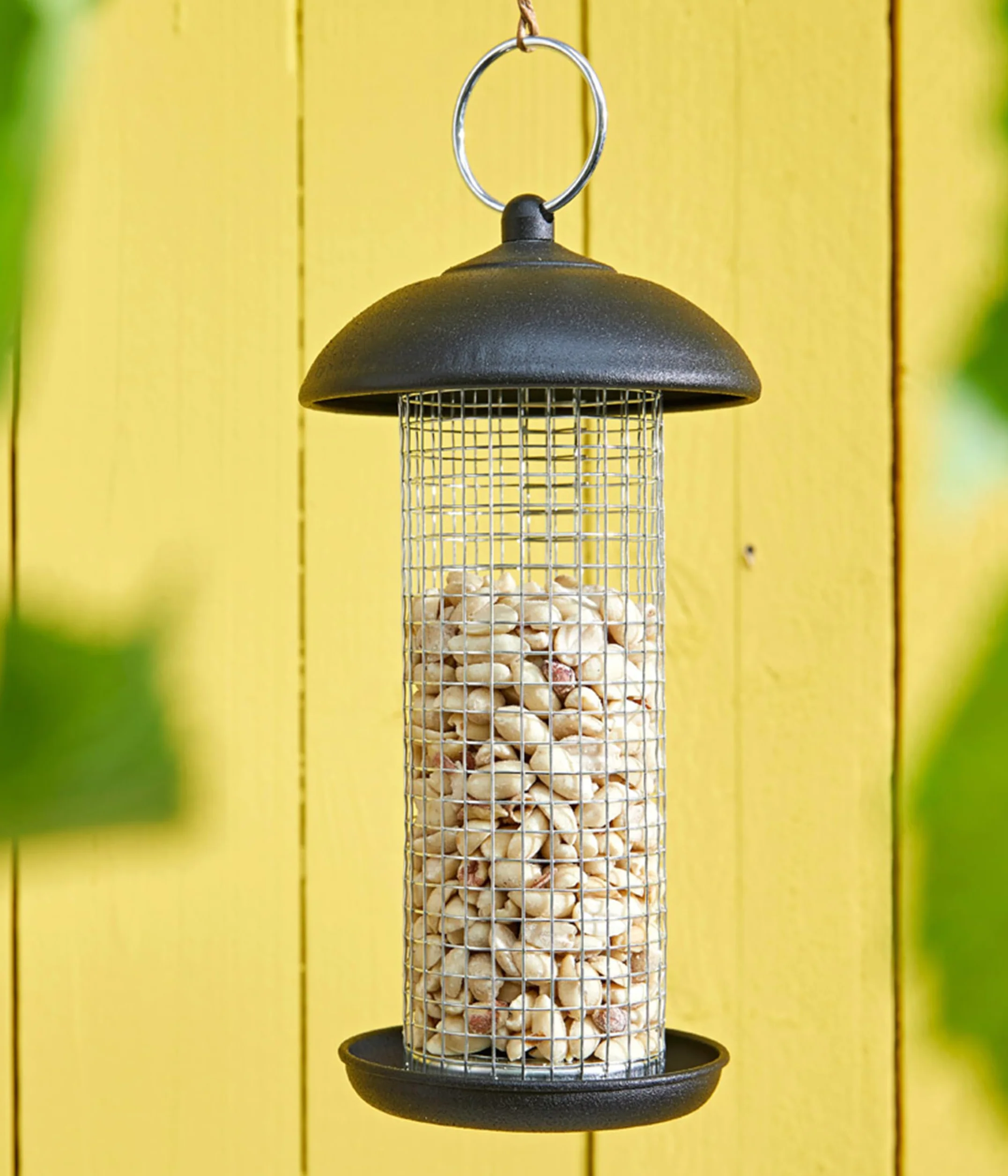 Dehner Natura Premium Nourriture pour Oiseaux Sauvages Arachides 20 kg