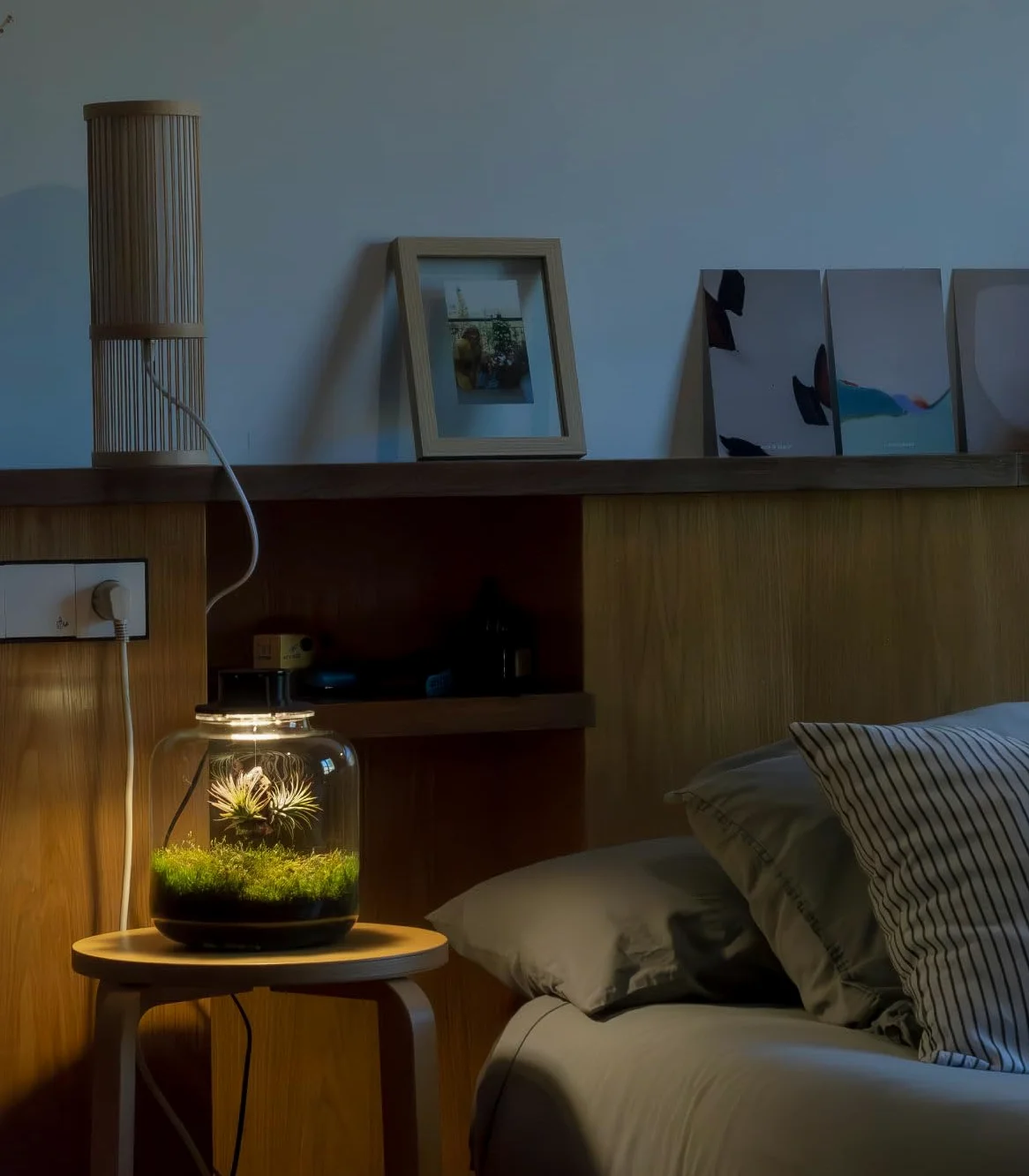 Jardin en bouteille Terrarium Plantes Verre Transparent Couvercle avec Spot LED Kit Jardin en Bouteille Tout Inclus Plantes d'Air Naturelles en Raiz d'Olivier
