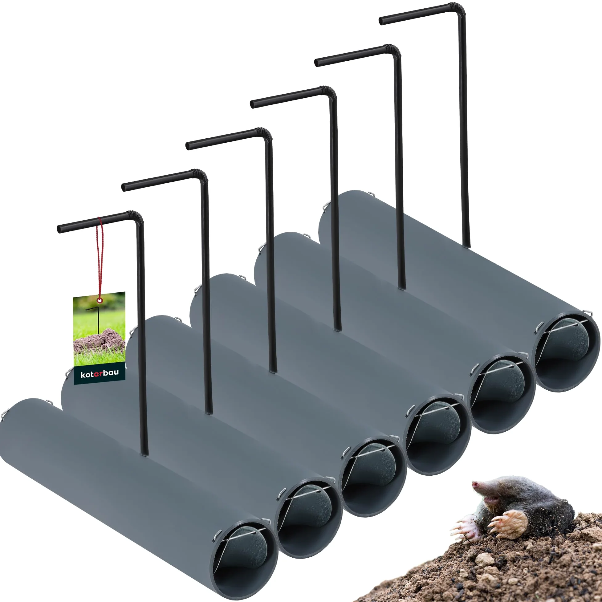 KOTARBAU Piège à Taupes avec présentoir, Lot de 6 25cm Piège Vivant respectueux des Animaux pour campagnols