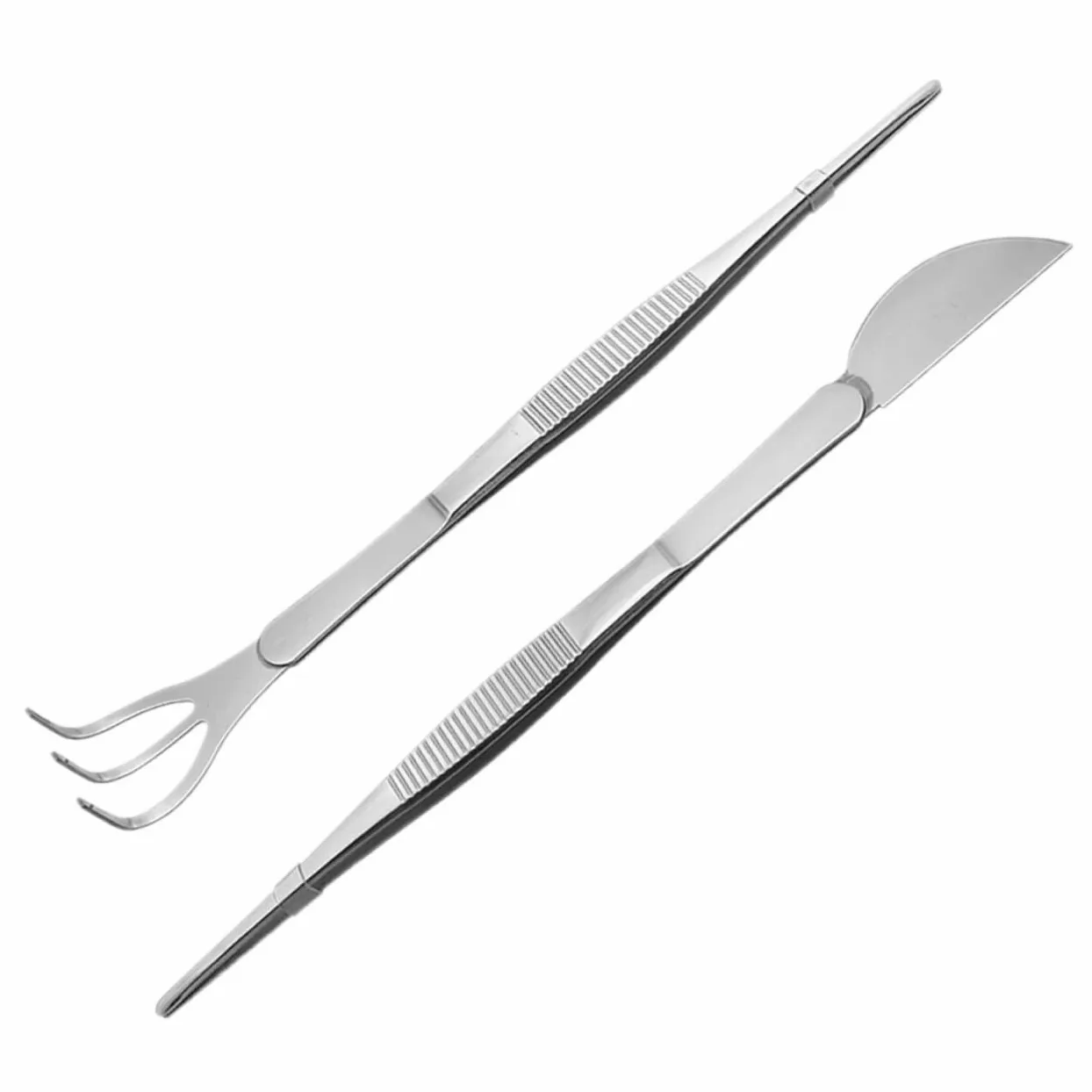 POPETPOP 6 Pièces Pince à Bonsaï Outil De Pincettes Râteau Succulent Pincettes Pour L'artisanat Pincettes Aquascaping Pince à Râteau De Jardinage Terrariums Acier Inoxydable Plante Outils
