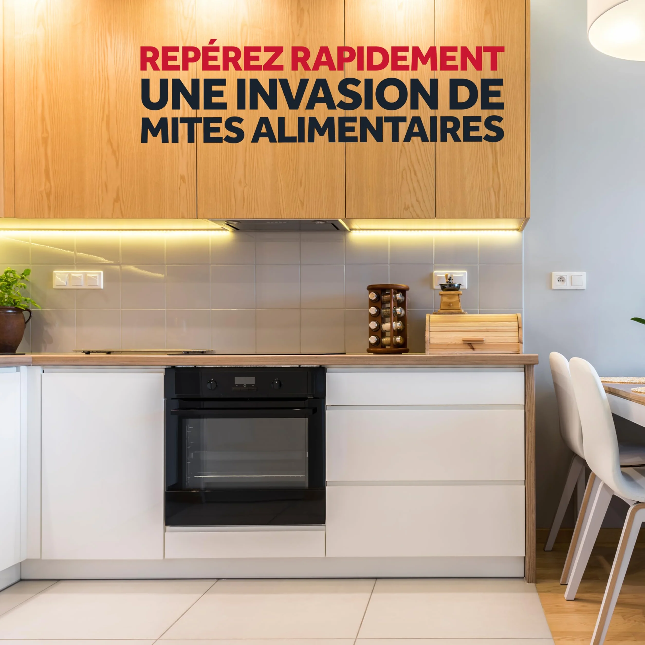 BAYGON Pièges Mites Alimentaires Protection Cuisine 2 mois Efficacité Sans Odeur 3 Unités
