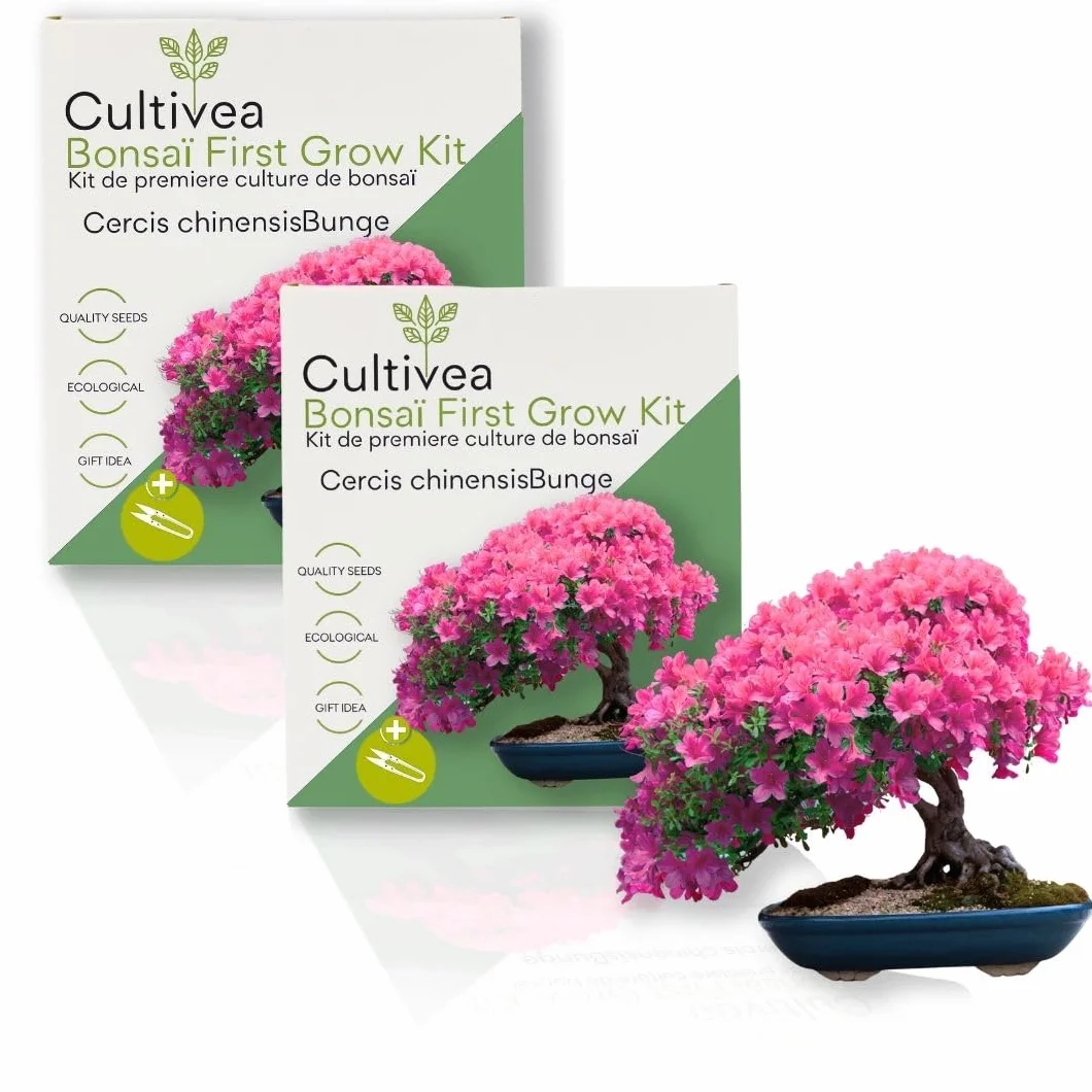 CULTIVEA® Kit First Bonsai - Kit de première culture de Bonsaï - Prêt à Pousser avec Graines & Accessoires - Made In France (Cercis Chinensis)
