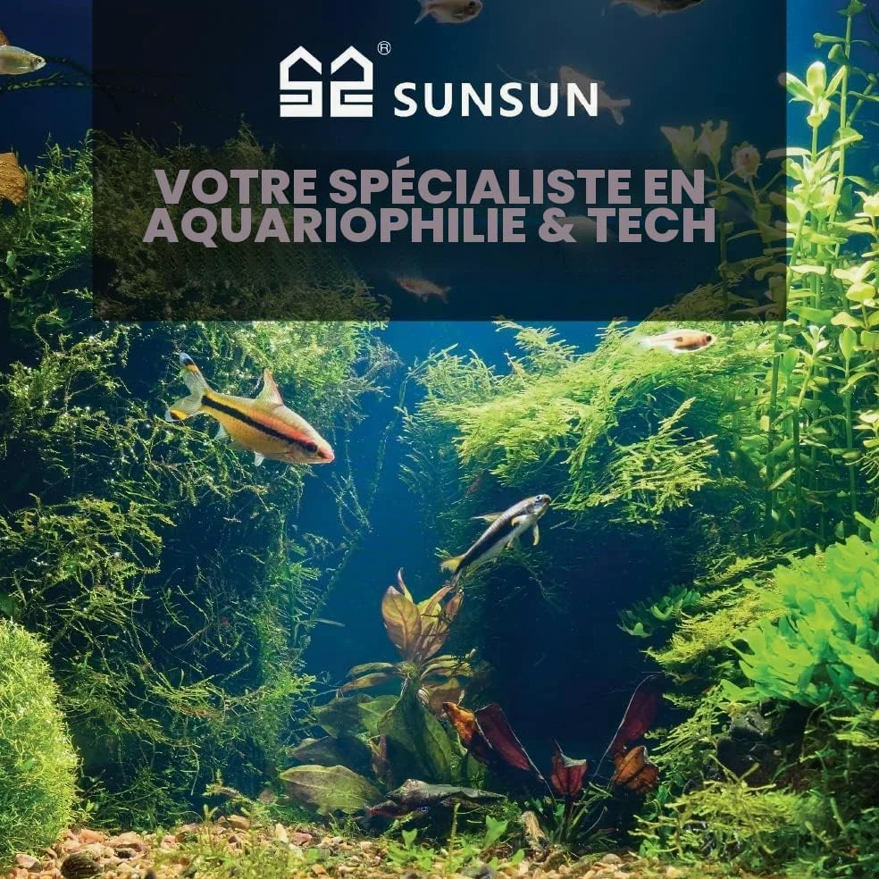 Pièce détachée Bac de Filtration SunSun CBF-200T/CBF-200U/CBF-200