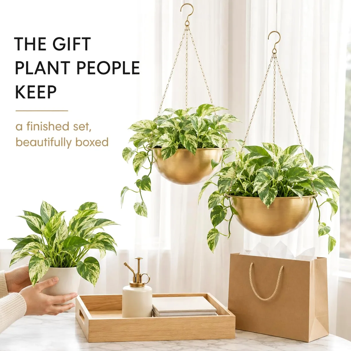 AceList Lot de 2 jardinières dorées à suspendre pour plantes d'intérieur – 24 cm – Suspension bohème en métal avec crochets, support de plante suspendu pour fenêtre et plafond