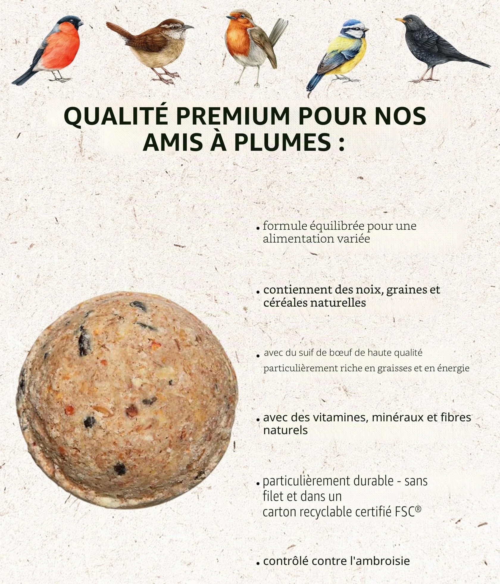 Dehner Natura Lot 100 Aliments Oiseaux Sauvages Boules Graisse sans Filet Carton 10 kg