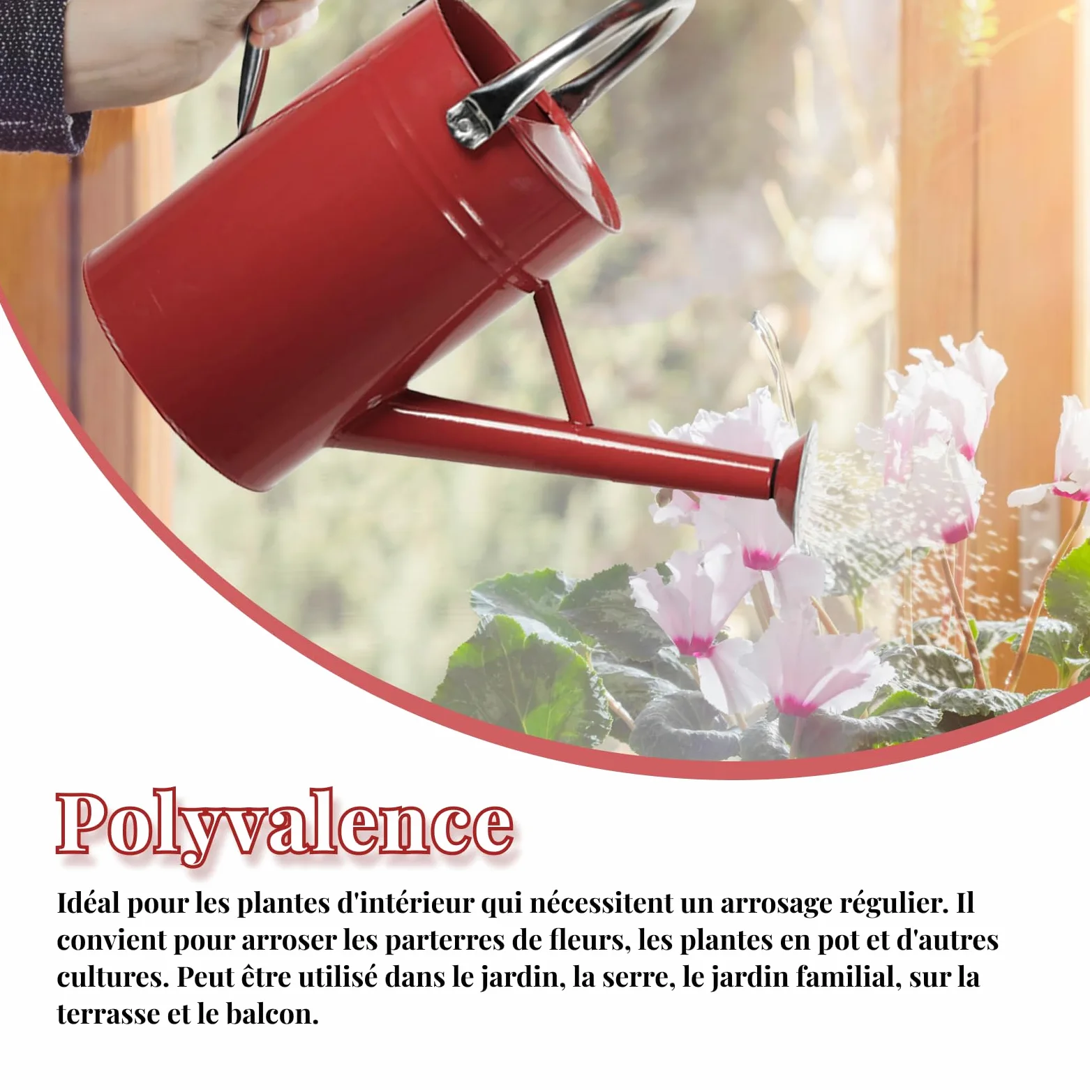 Arrosoir Jardin 5L, Arosoires Extérieur, Arrosoir en Métal pour Plantes Interieur avec Bec Amovible, Arrosoir à Fleurs avec Poignée Incurvée, Anti-Fuite, Construction Robuste et Antirouille, Rouge