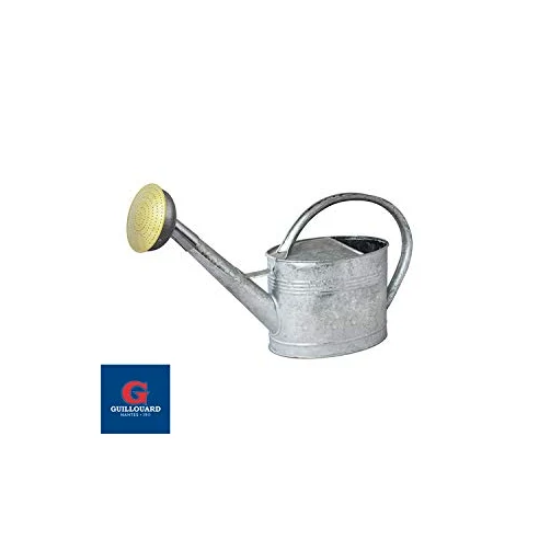 Arrosoir 6L – Acier galvanisé à Chaud – avec Pomme métal Grille Laiton – Robuste et léger – Grande Anse Ergonomique – Idéal Jardin, Potager, Fleurs et Balcon - 020142