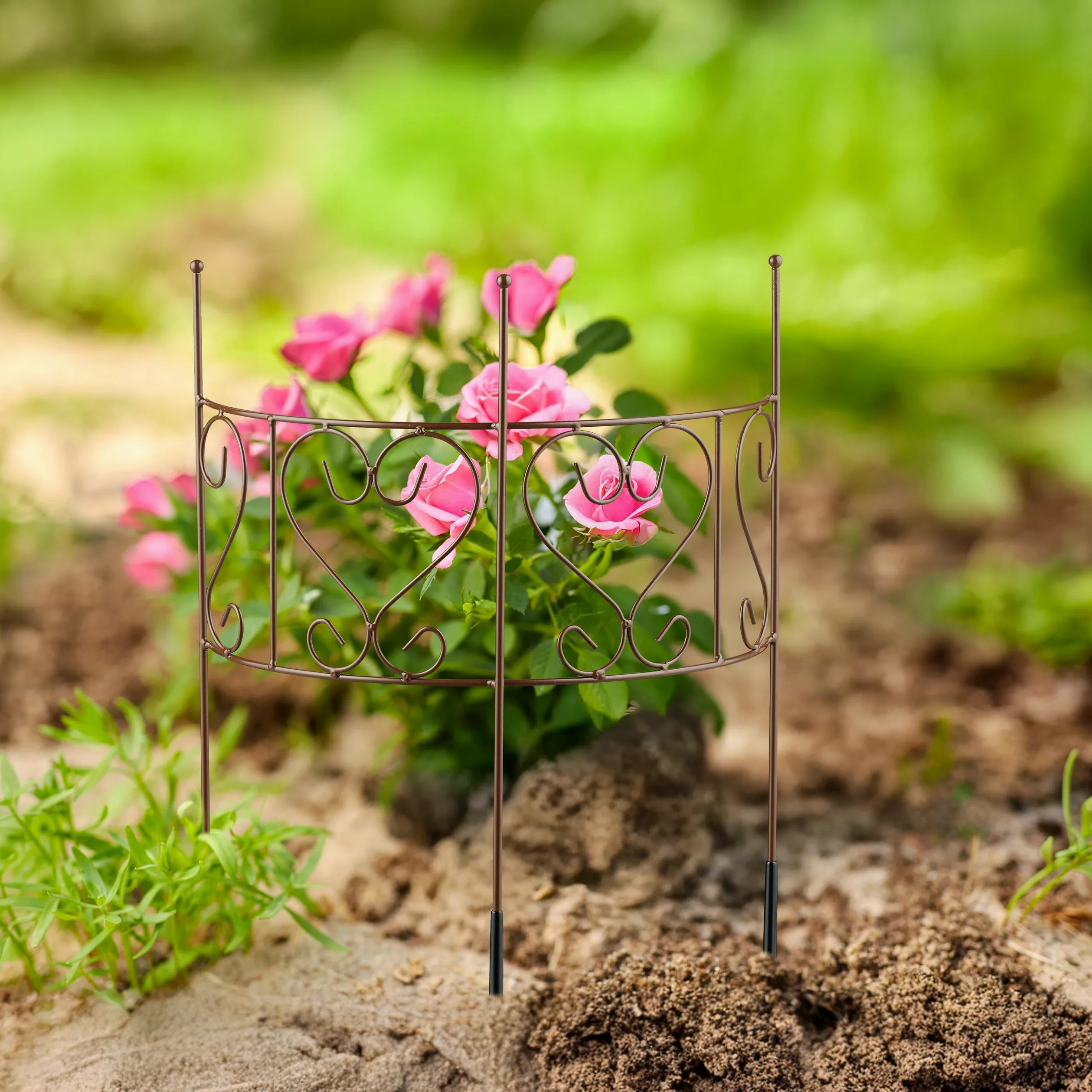 Relaxdays Tuteur Demi-Cercle, Lot de 2, Support Plantes Semi-Circulaire Fleurs et Plantes, hxl: 41,5x31 cm, Acier, Brun