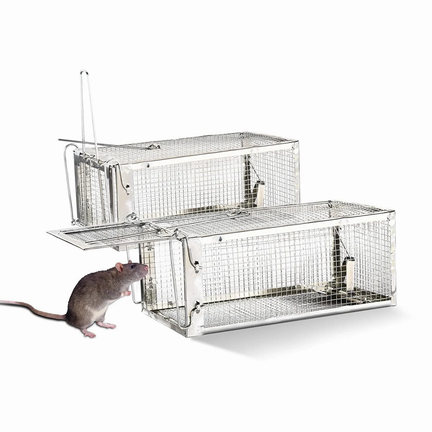 FORMIZON Piège de Capture, 2Pcs Cage Réutilisable Piège à Rats pour Attraper Les Souris et Autres Rongeurs de Taille Similaire