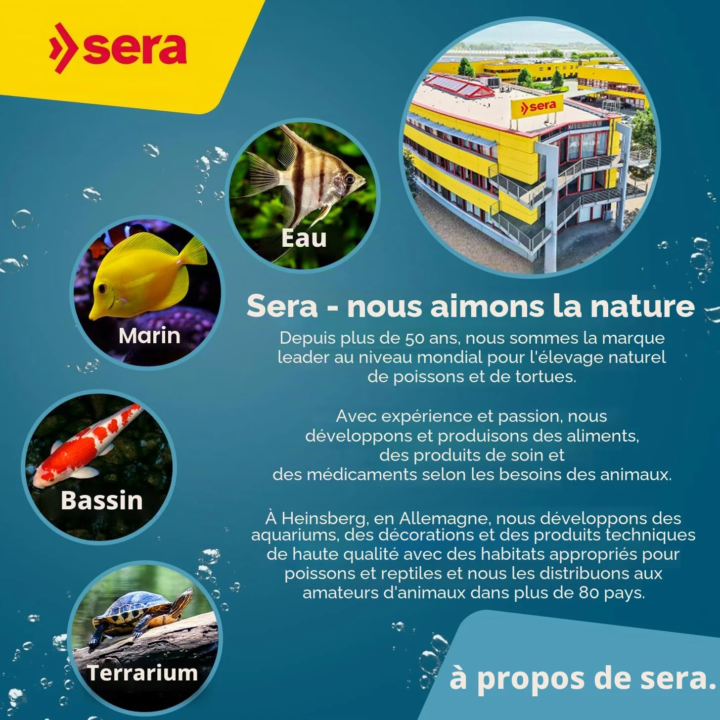 sera Pond Sticks 21 L 3,5 KG | Aliment composé pour Les Grands Poissons de Bassin 21.000 ML 3.500 g | Sticks flottants, conservant Longtemps Leur Forme