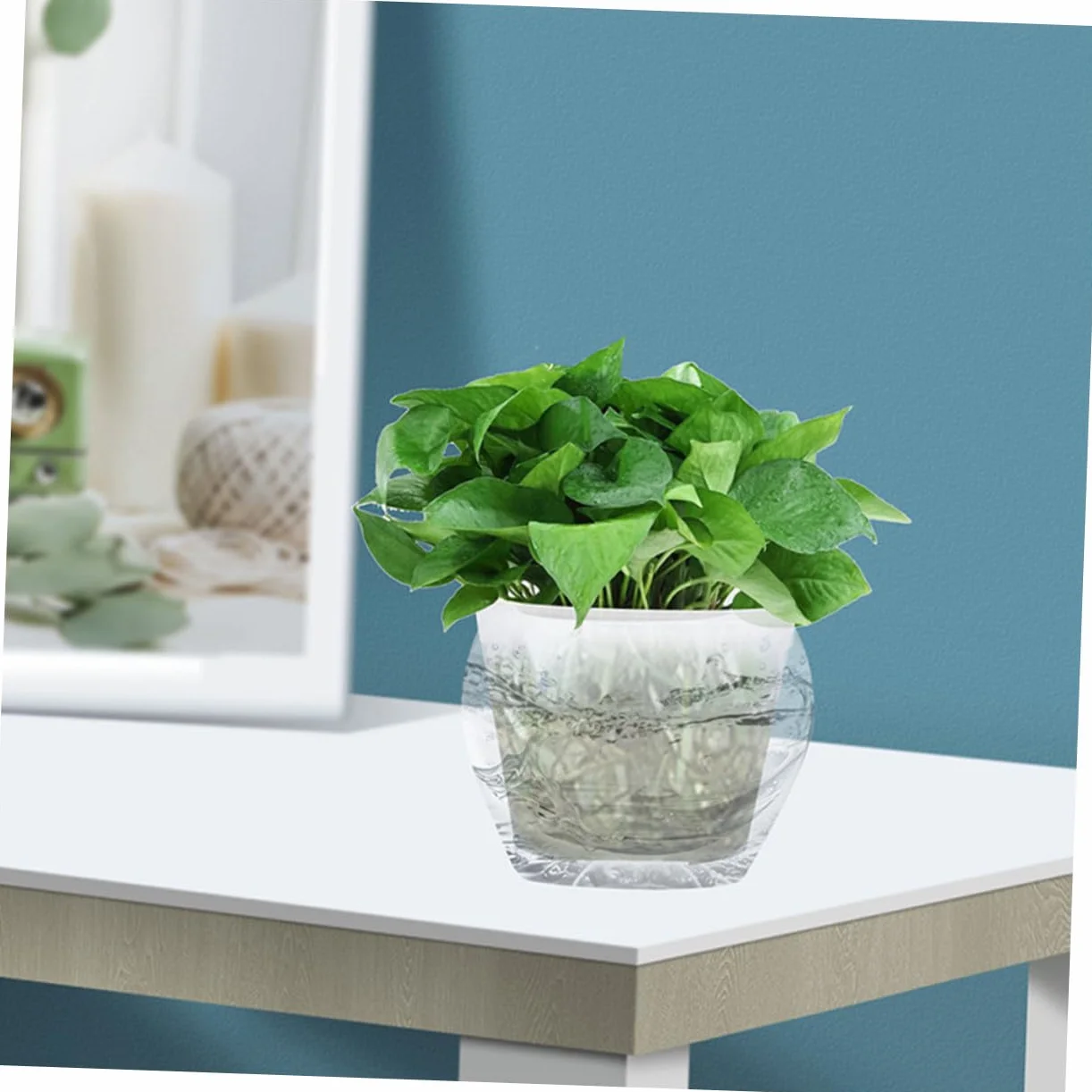 TOYANDONA Pots de Rempotage Transparents pour Orchidées Lot de 2 Plastique Robuste Diamètre 27 Cm