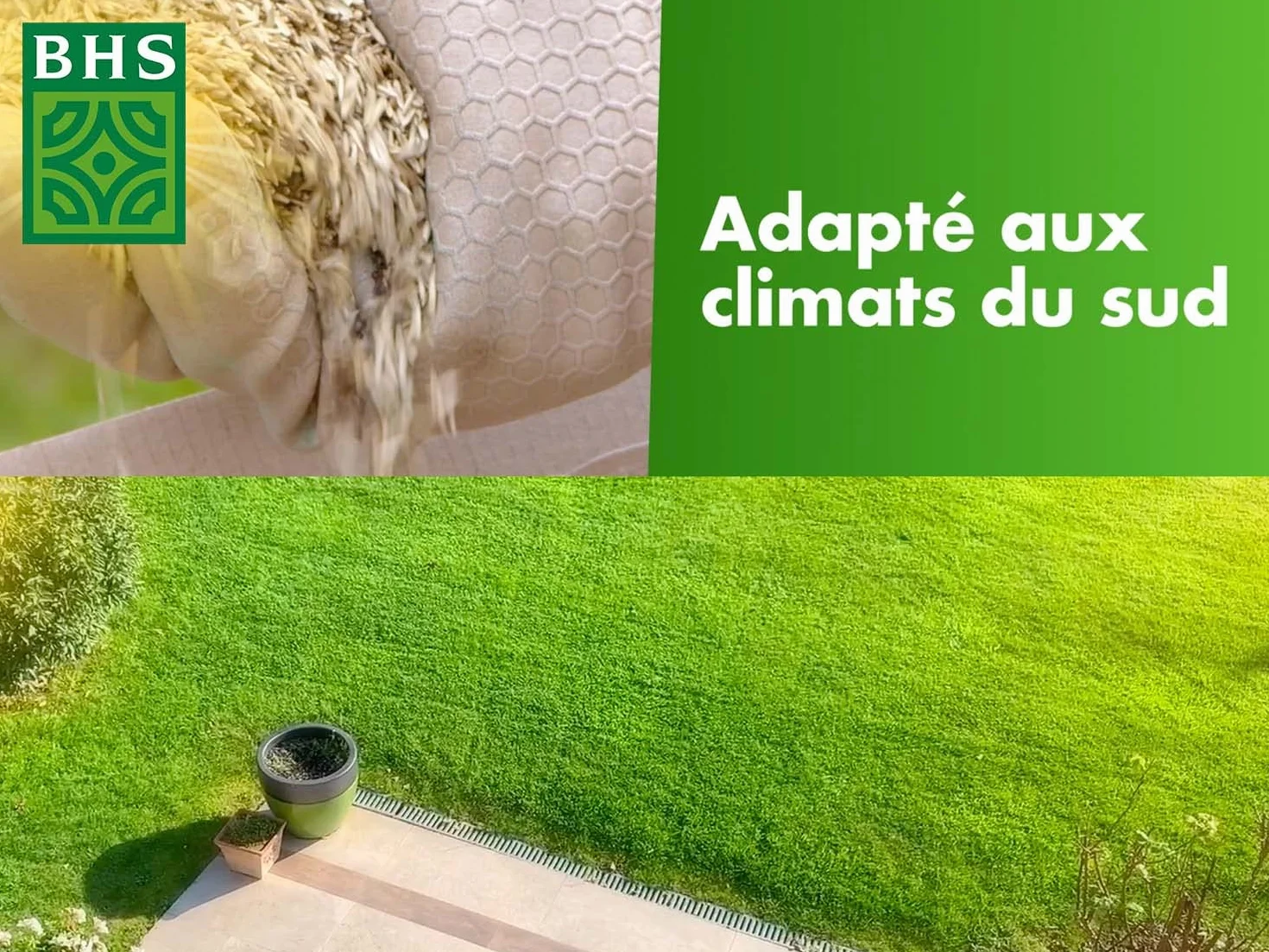 Gazon Rustique Sud GRS10 10kg 400 m² Résistant Sec