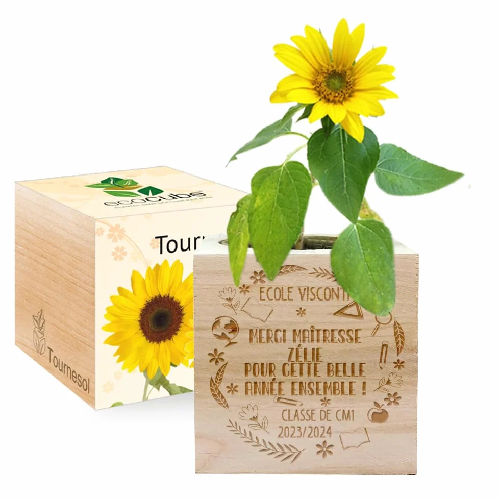EcoCube à graver Remerciement fin d'année scolaire Tournesol
