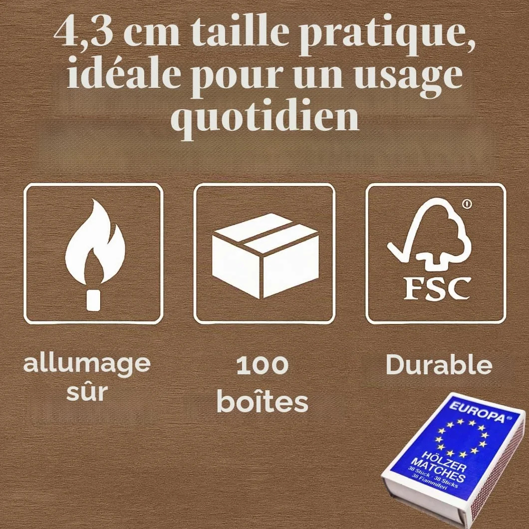 Allumettes EUROPA 100 boîtes, 10 x 10, bois d'europe, allumettes de sécurité