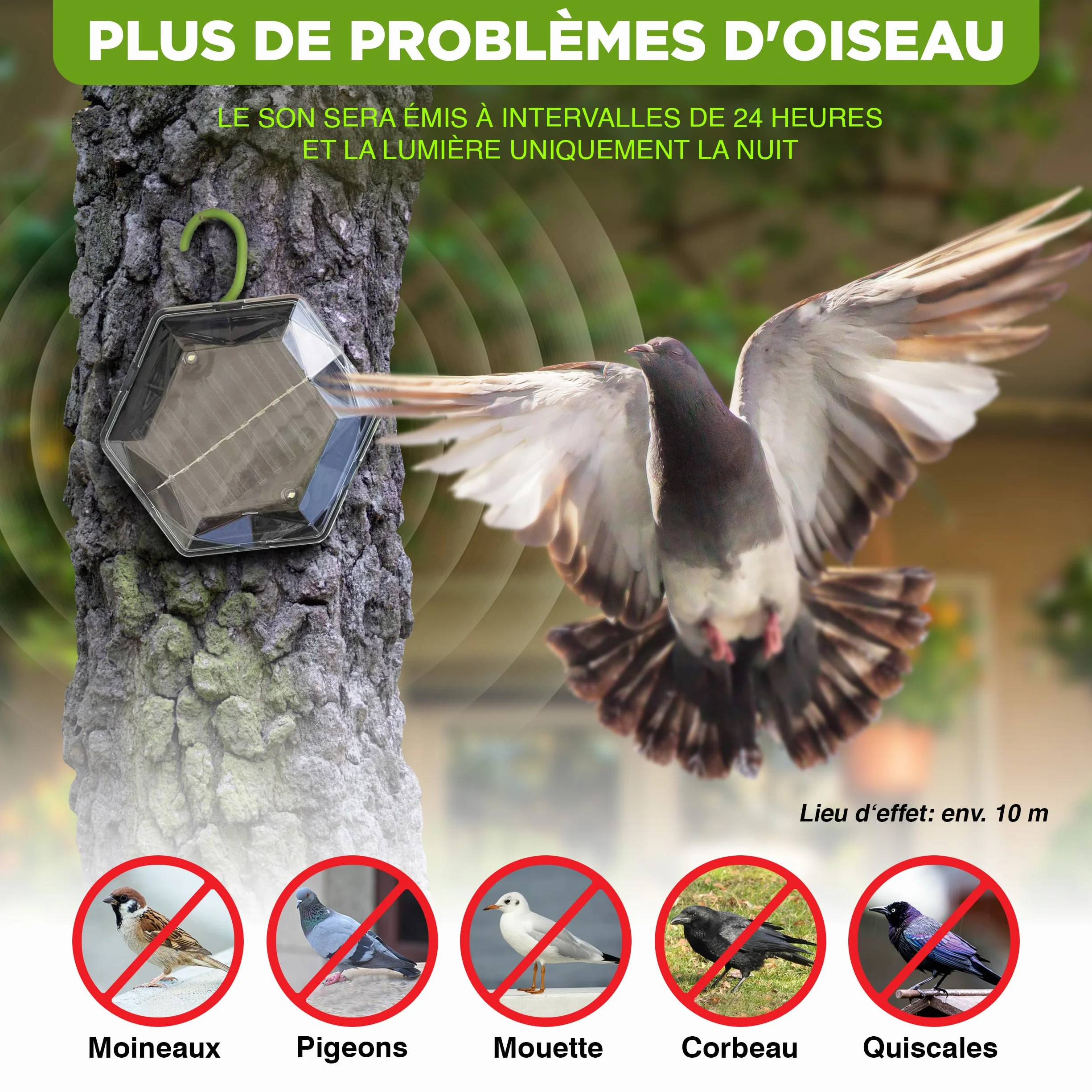 ISOTRONIC Répulsif Solaire Flash et ultrasons – Éloigne Pigeons et Oiseaux – Portée 150 m² – 1 unité
