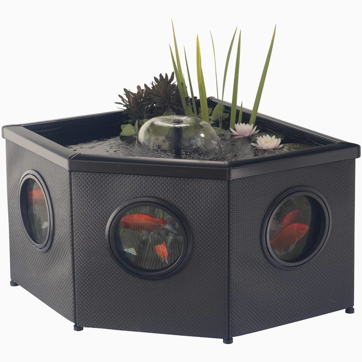 Aquagarden Affinity Pond, Kit de Bassin surélevé vitré - Bassin d'angle, Bassin décoratif, Comprend Le Bassin et Pompe à Eau Inpond 5 en 1 3000 avec clarificateur UV, Trois fontaines