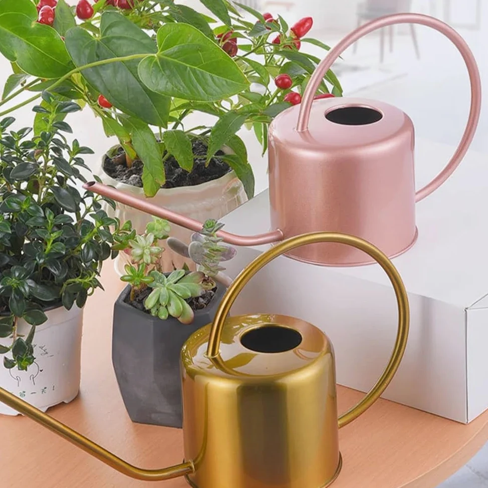Arrosoirs Arrosoir en Acier Inoxydable de 1,3 l, Bouteille de Jardin en métal à Long Bec avec poignée Facile à saisir for Les Plantes à Fleurs de la Maison(Groen)