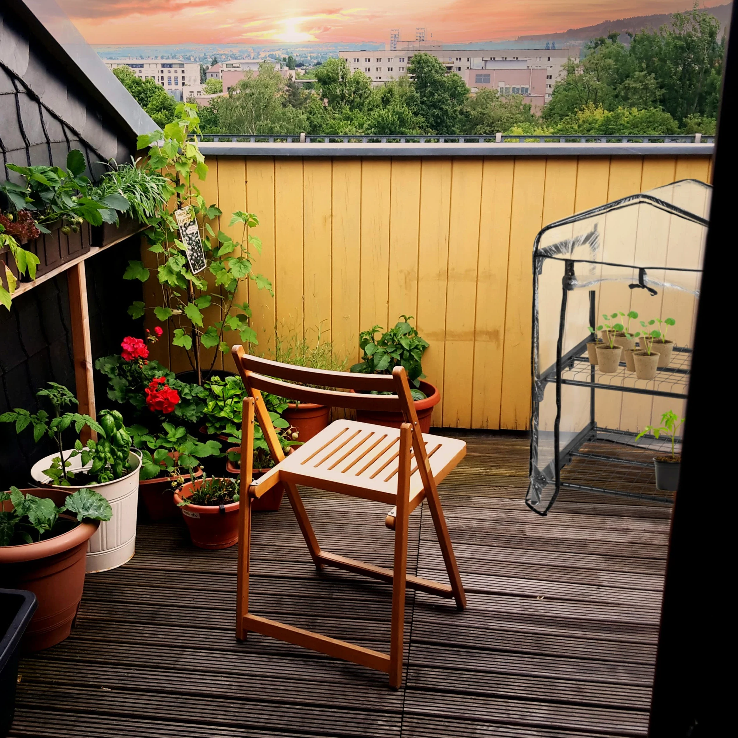 Relaxdays Serre de Balcon, bâche en PVC, Acier, HxLxP : 94x69x49 cm, étagère pour Plantes sur 2 étages, Noir-Transparent