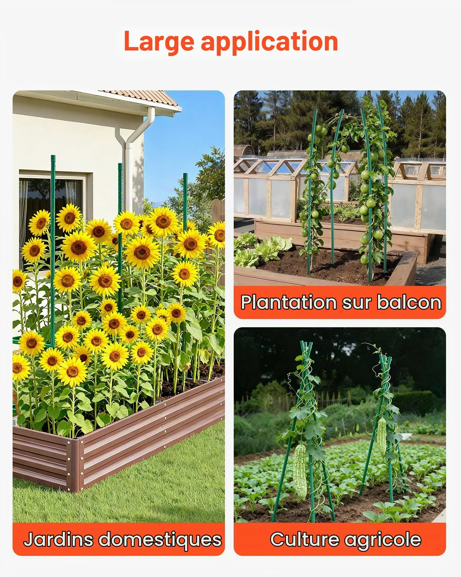 VEVOR Tuteur Plante 1,7 m Tuteur Plante Grimpante 15 PCS Tuteurs à Tomates Jardin pour Soutien Plantes Grimpantes Légumes Extérieur, Métal Recouvert Plastique Extrémité Pointue Picots Antidérapants