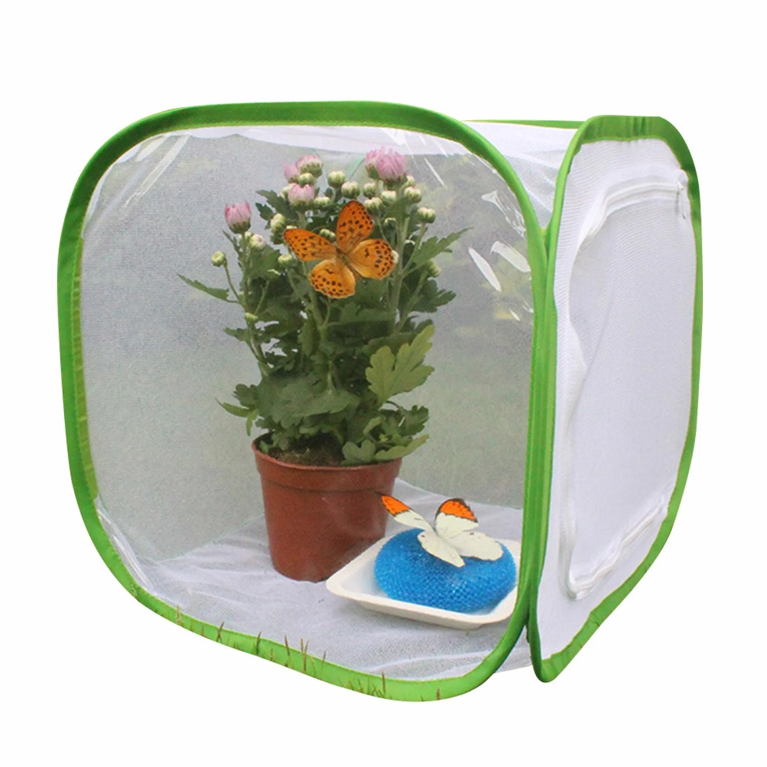 Cage d'habitat pour insectes et papillons pliable en maille avec fermeture éclair Taille S