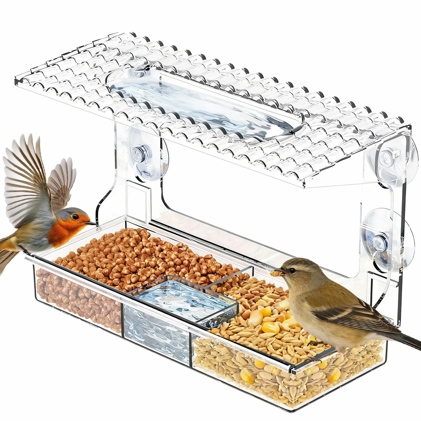 Mangeoire fenêtre Transparente Vue Claire pour Petits Oiseaux Sauvages, Ventouses puissantes